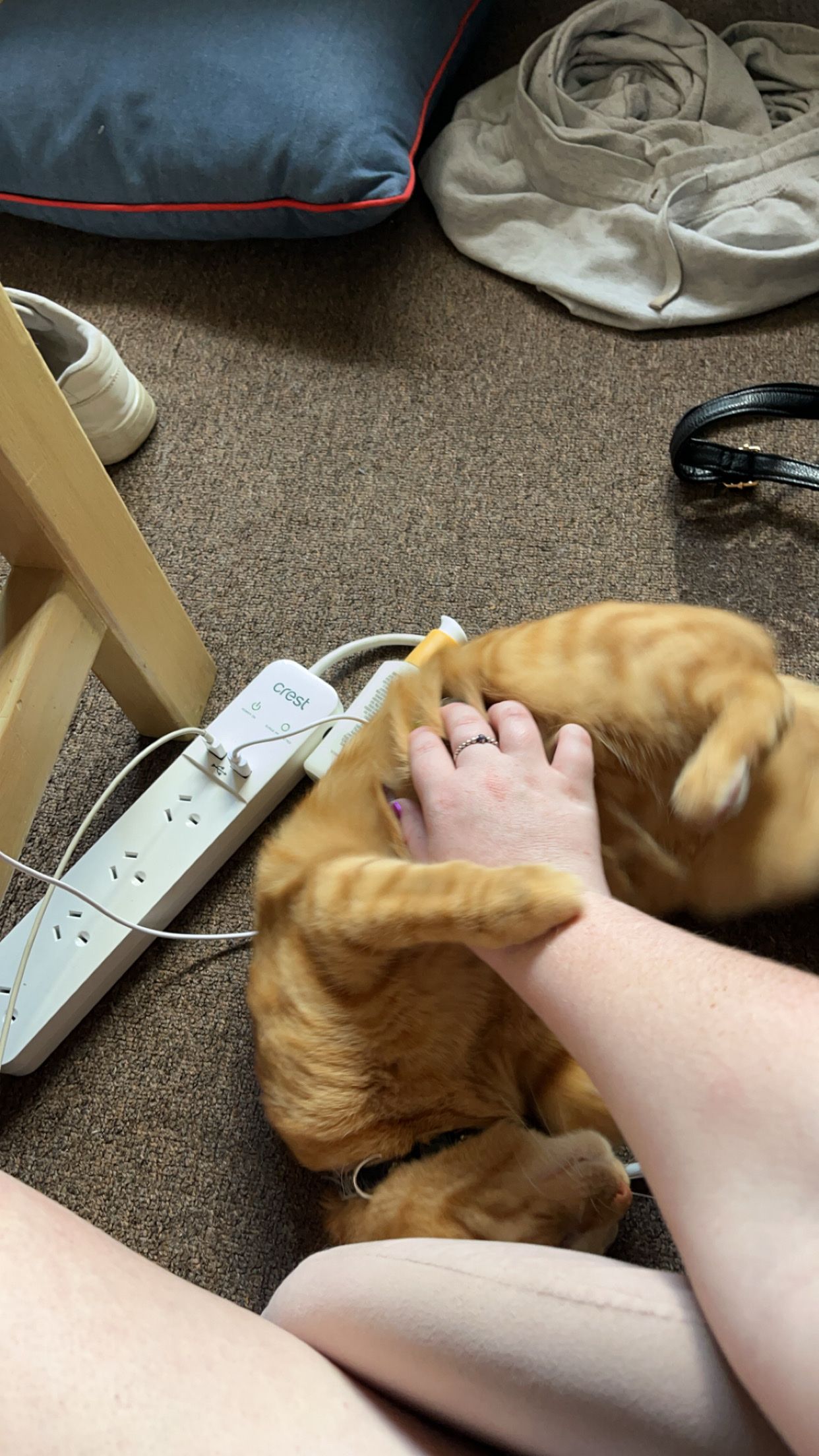 image-7