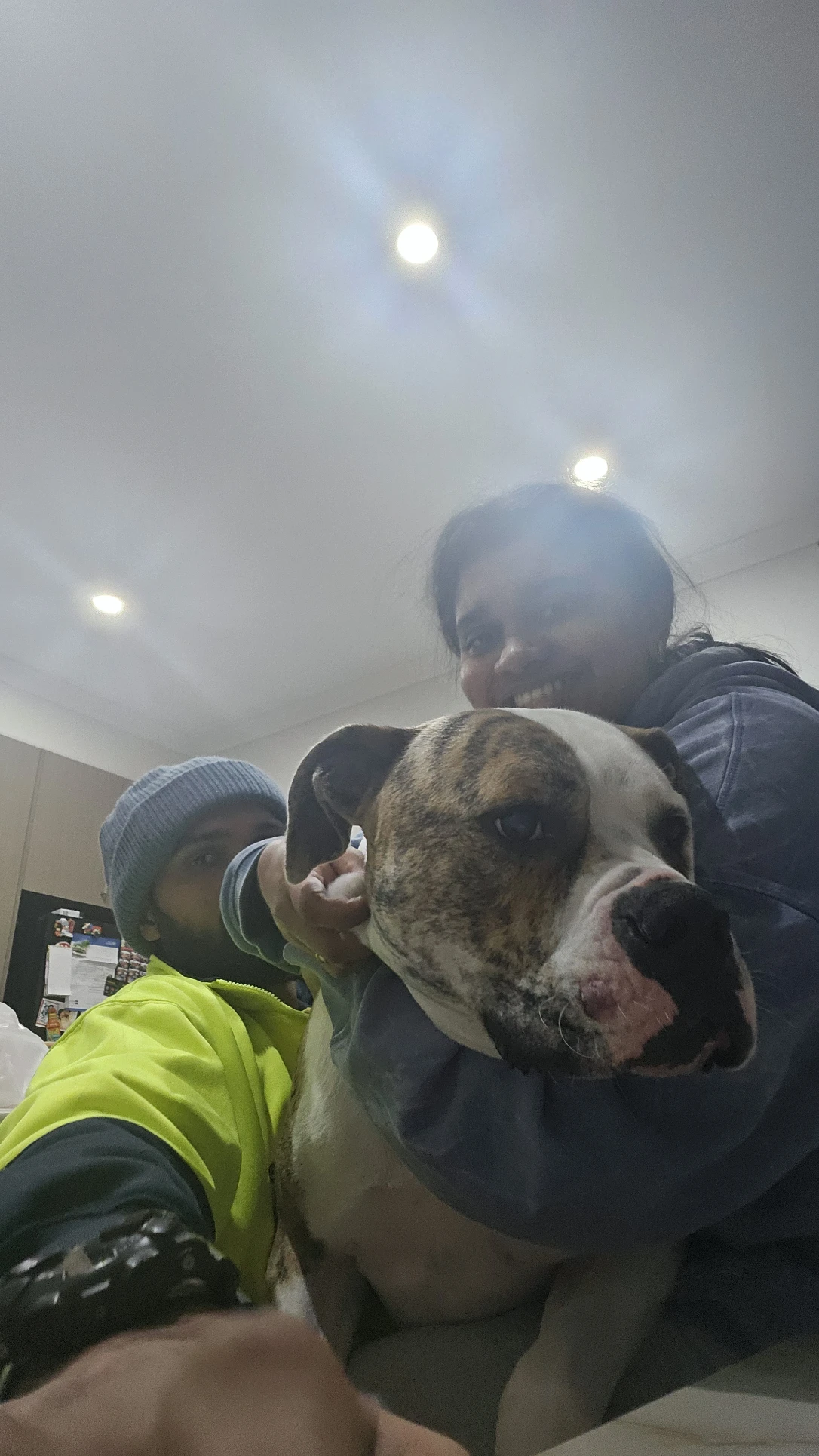 image-5