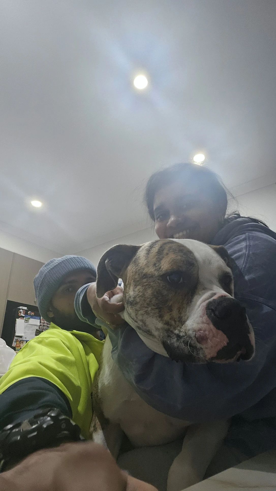 image-5