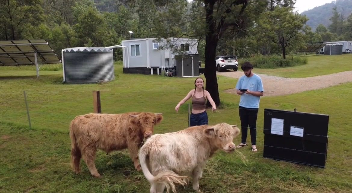 image-5