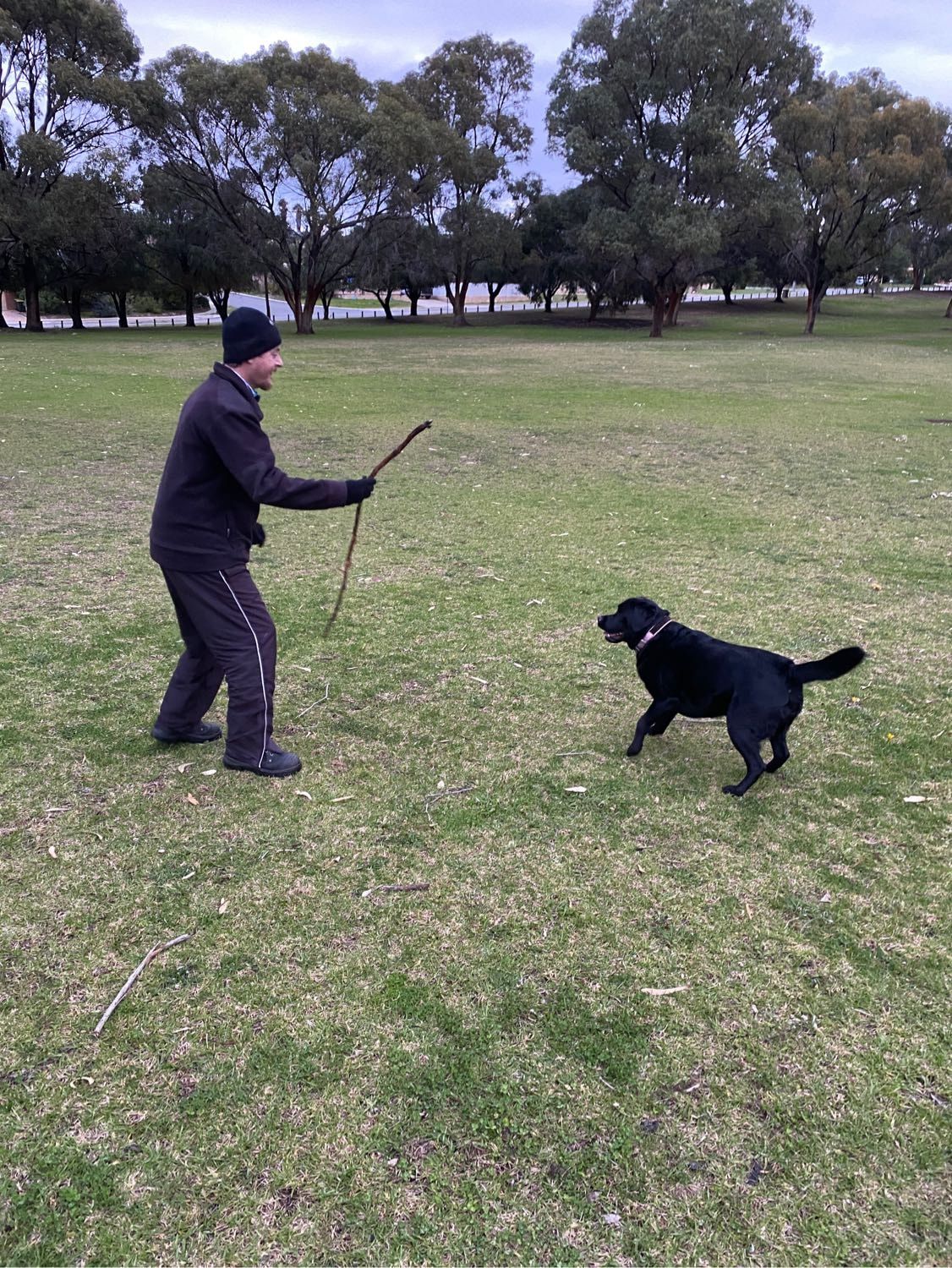 image-10