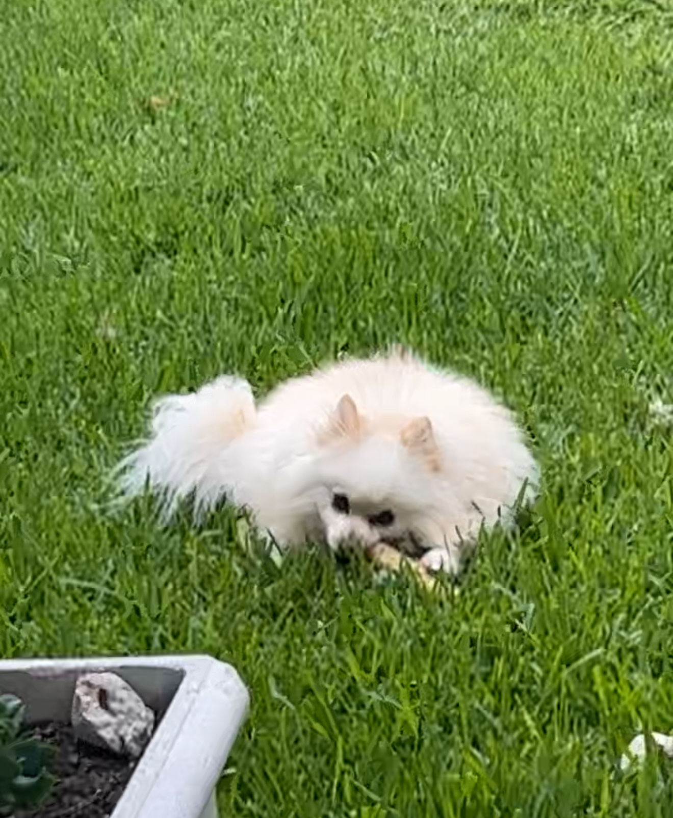 image-4
