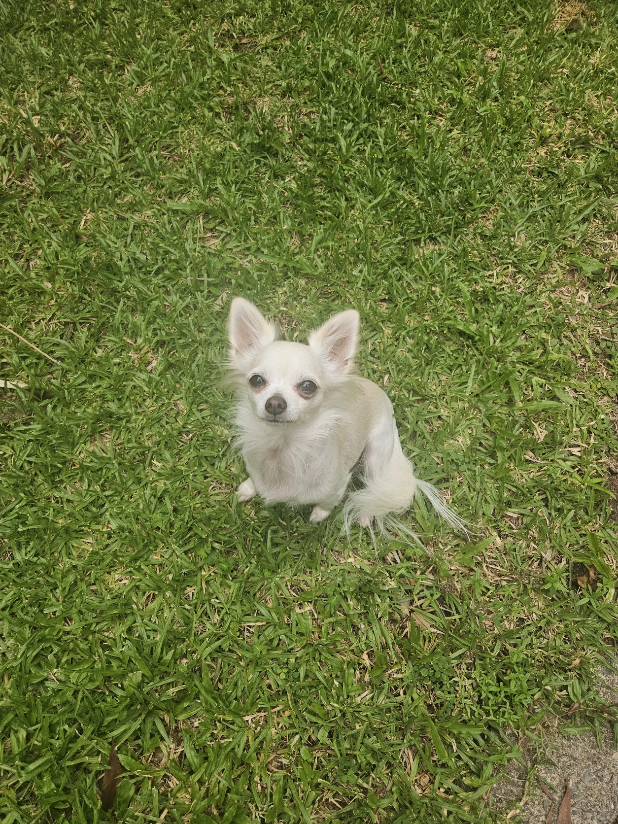 image-3