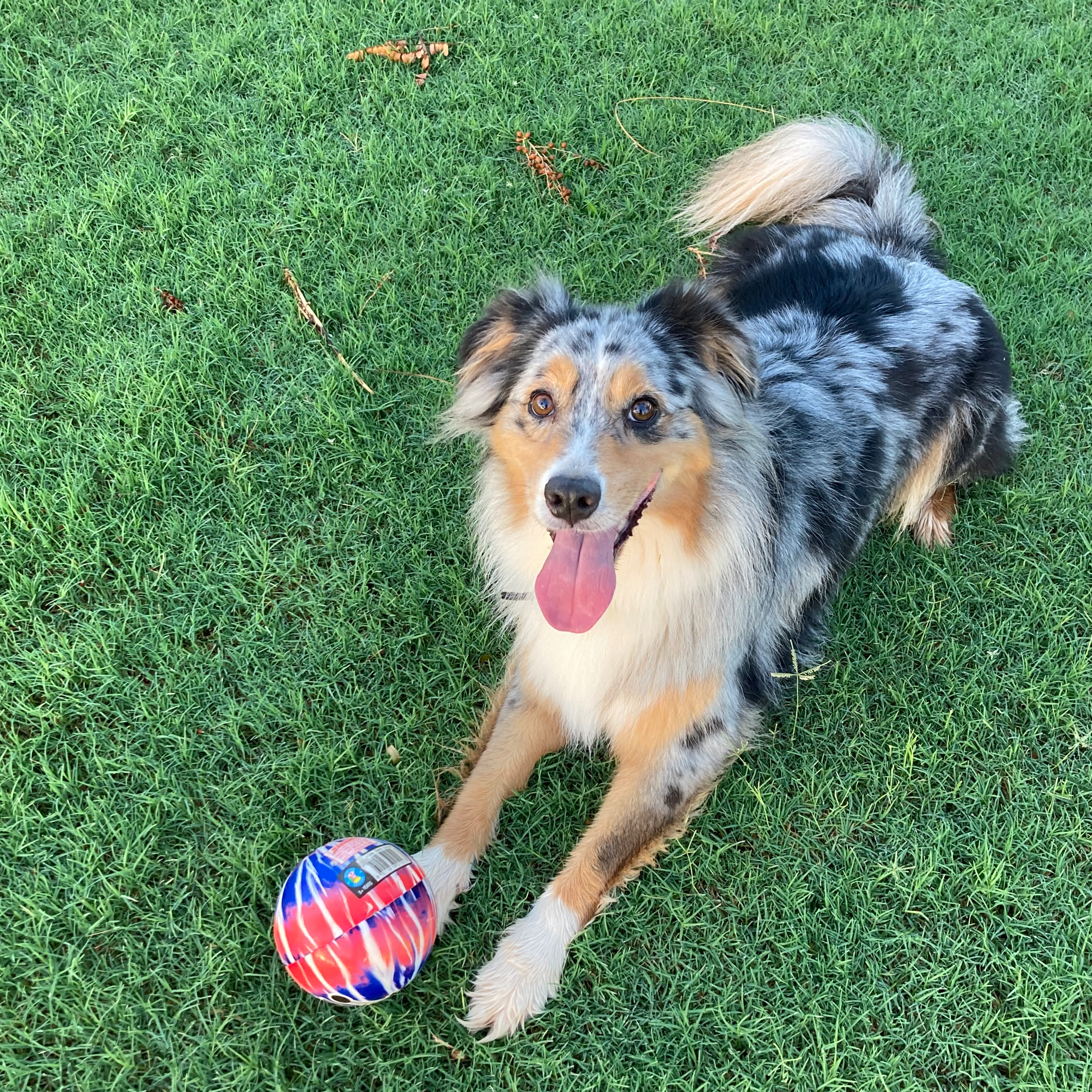 Sara