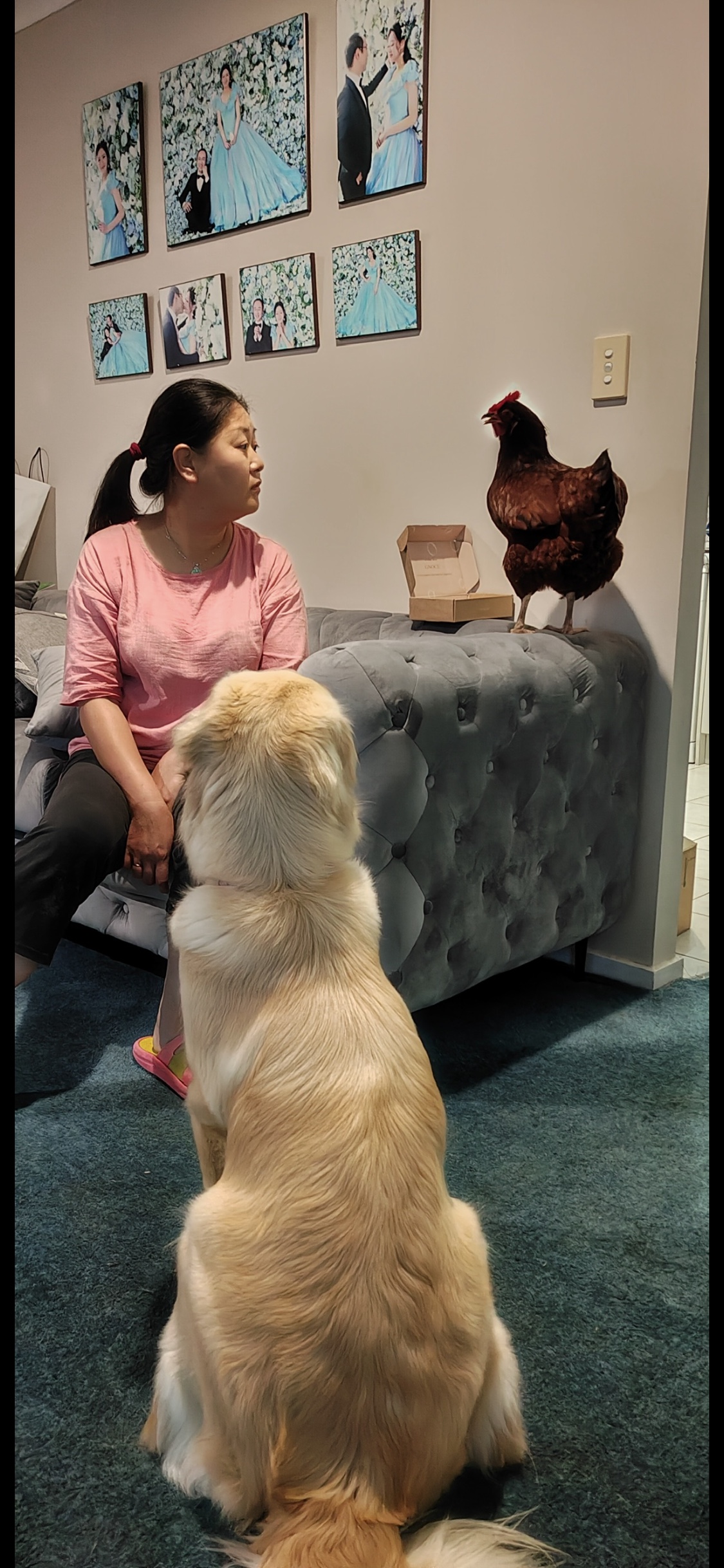 image-4