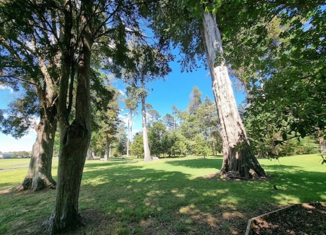 image-33