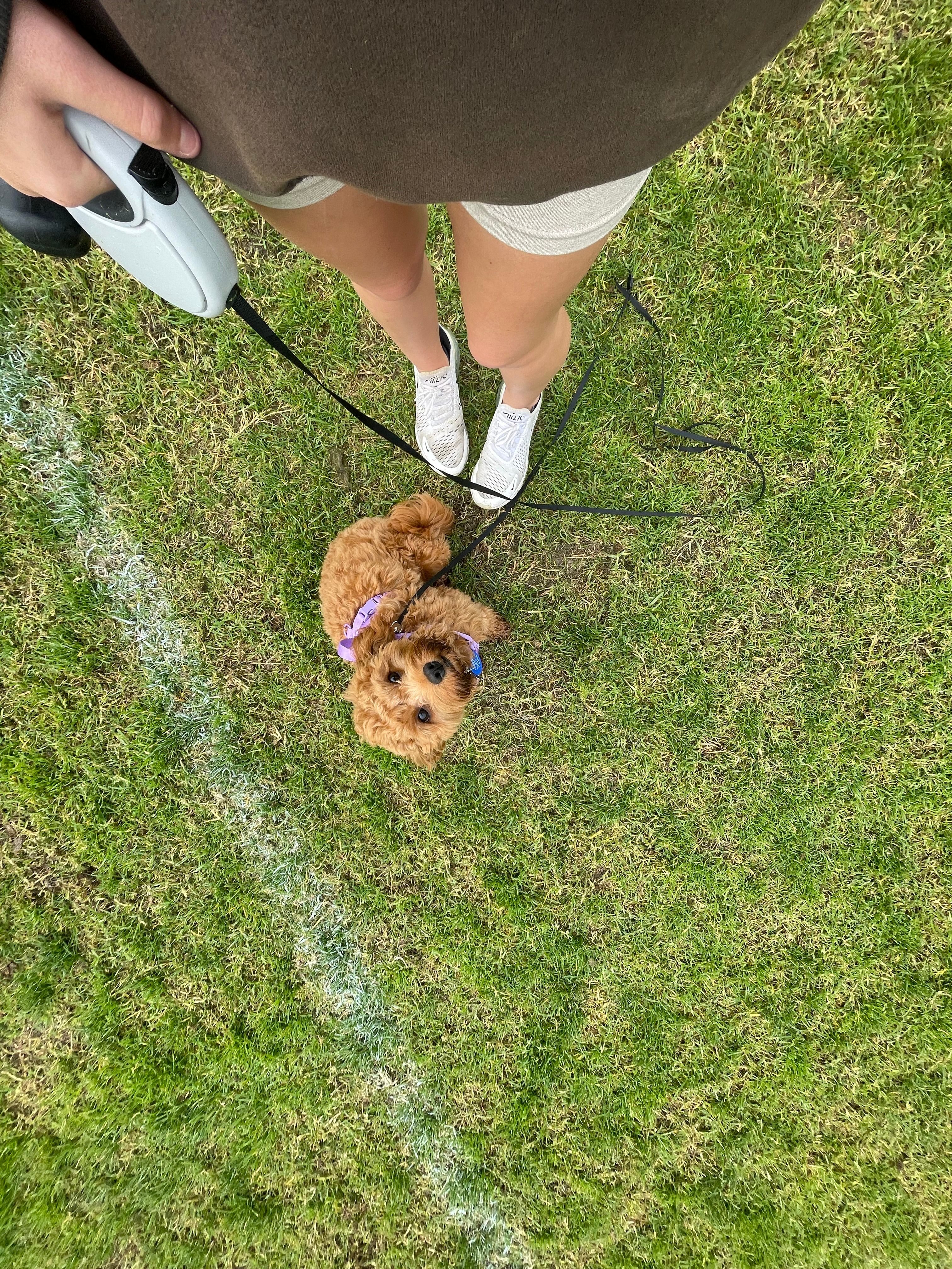 image-8