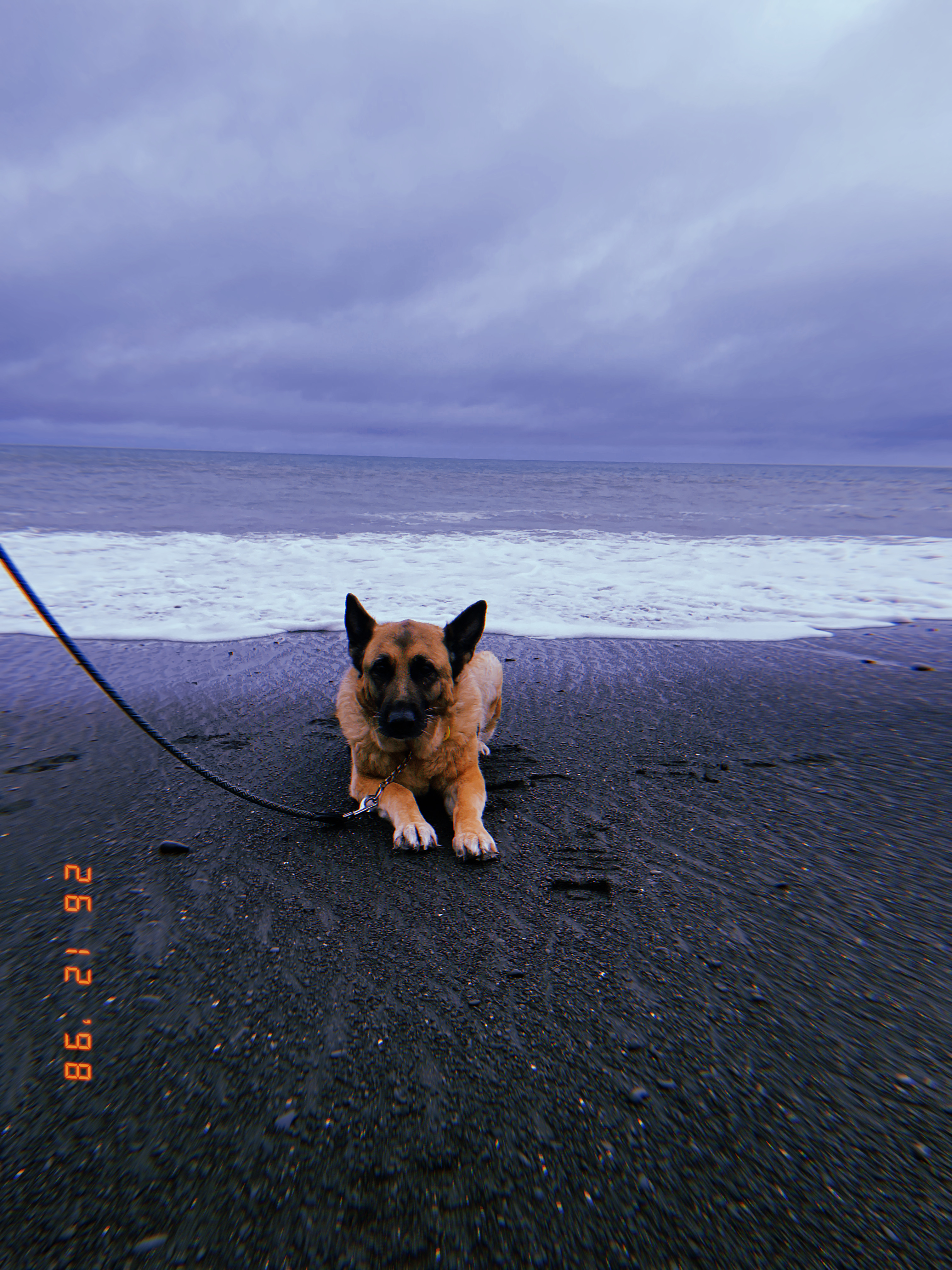 image-6