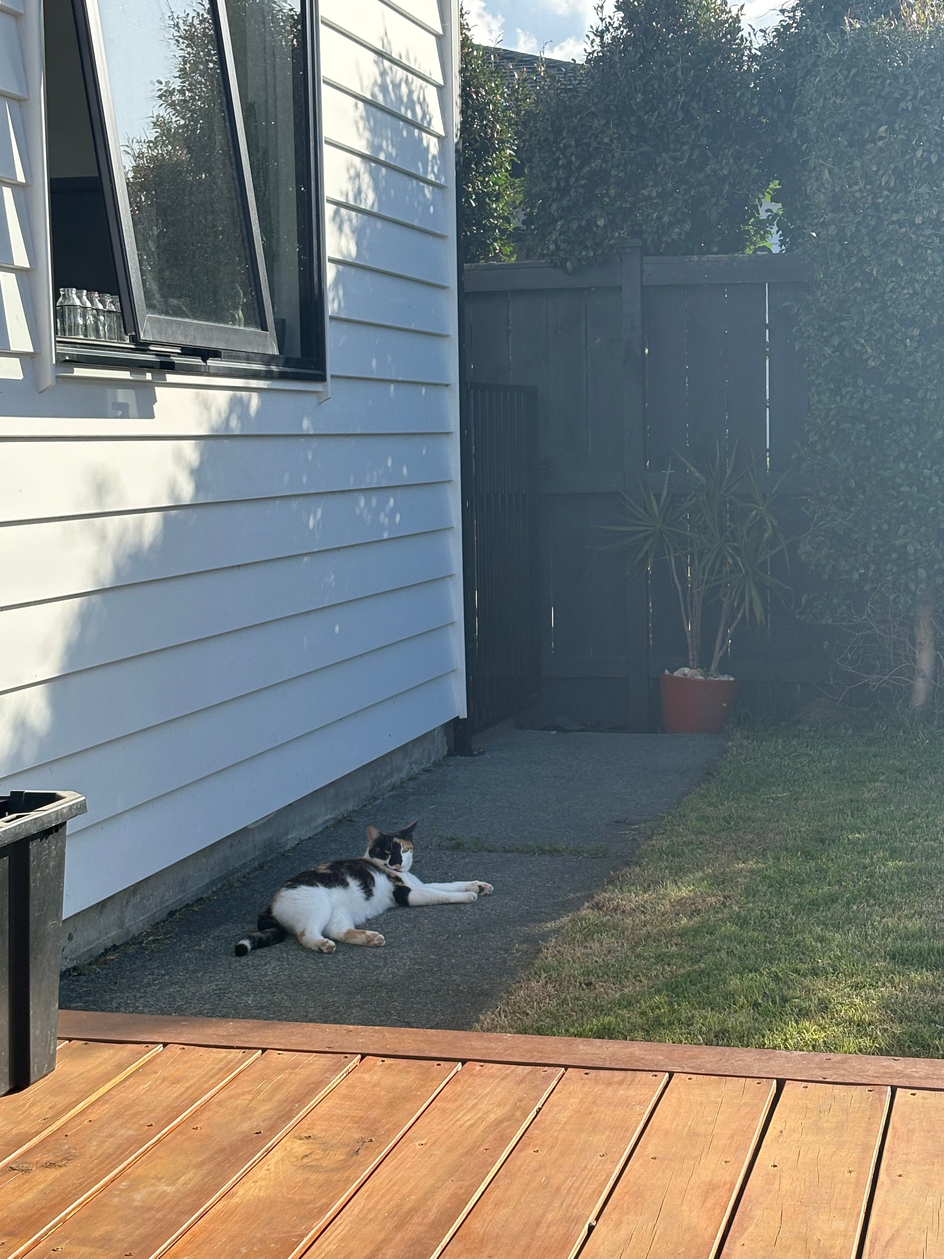 image-16