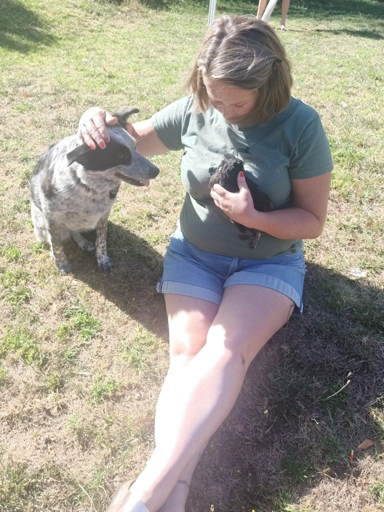 image-6