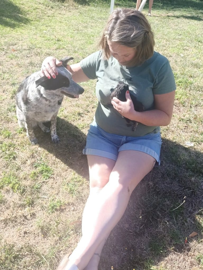 image-6