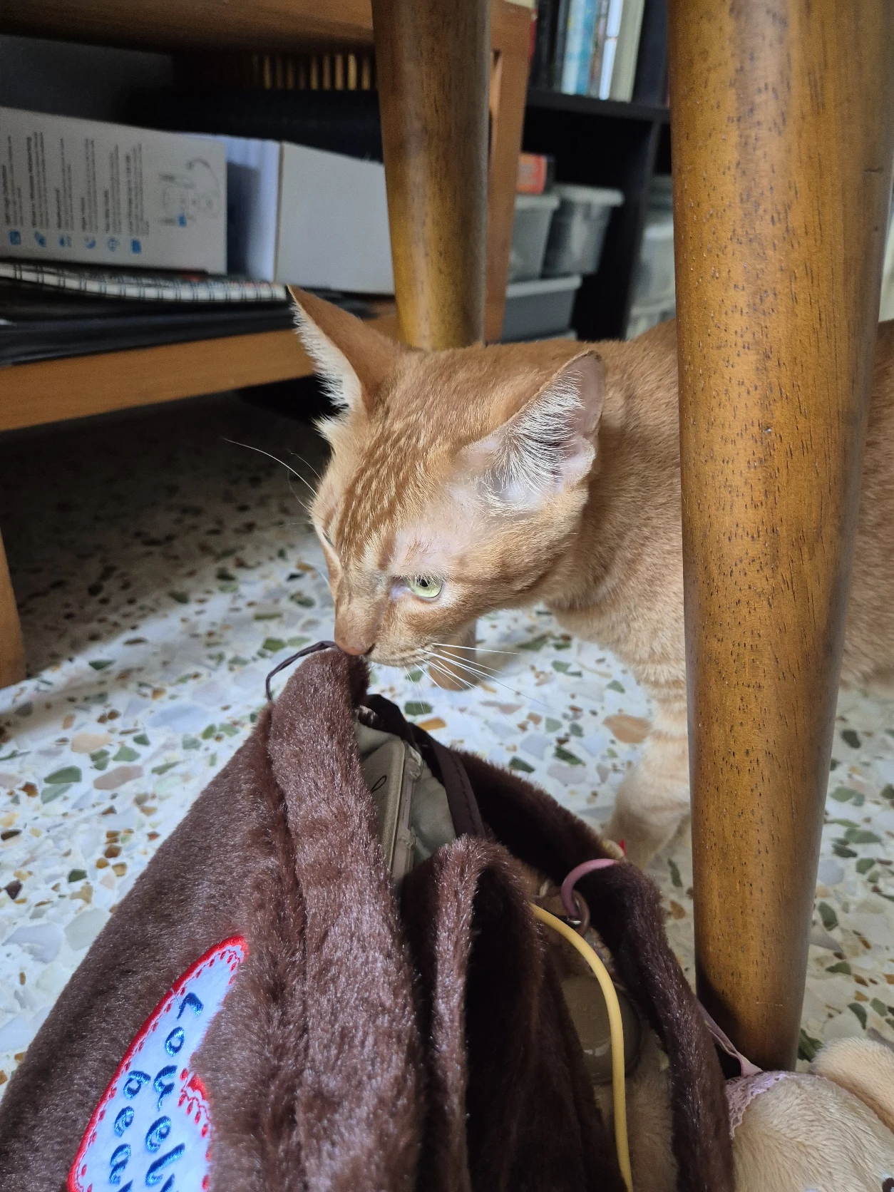 image-11
