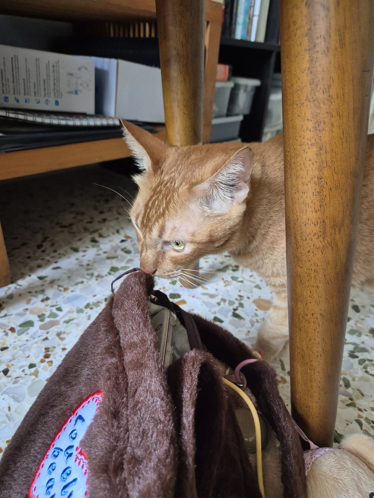 image-11