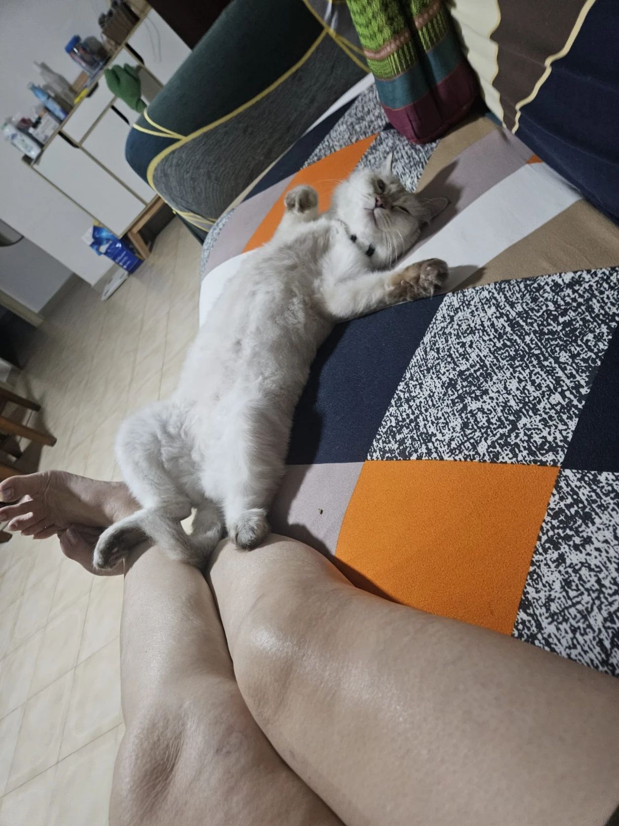image-9