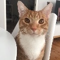Lenny