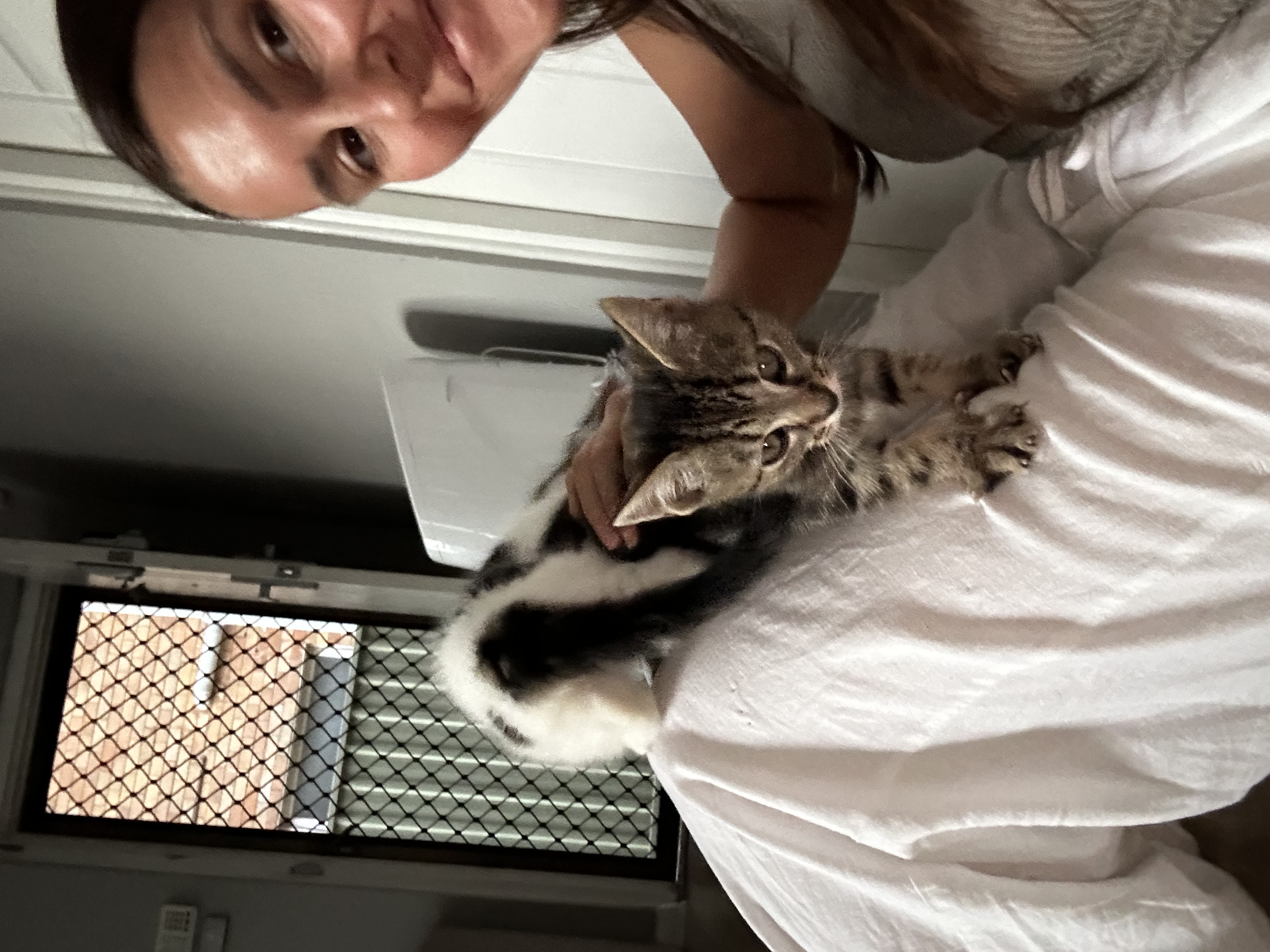image-7
