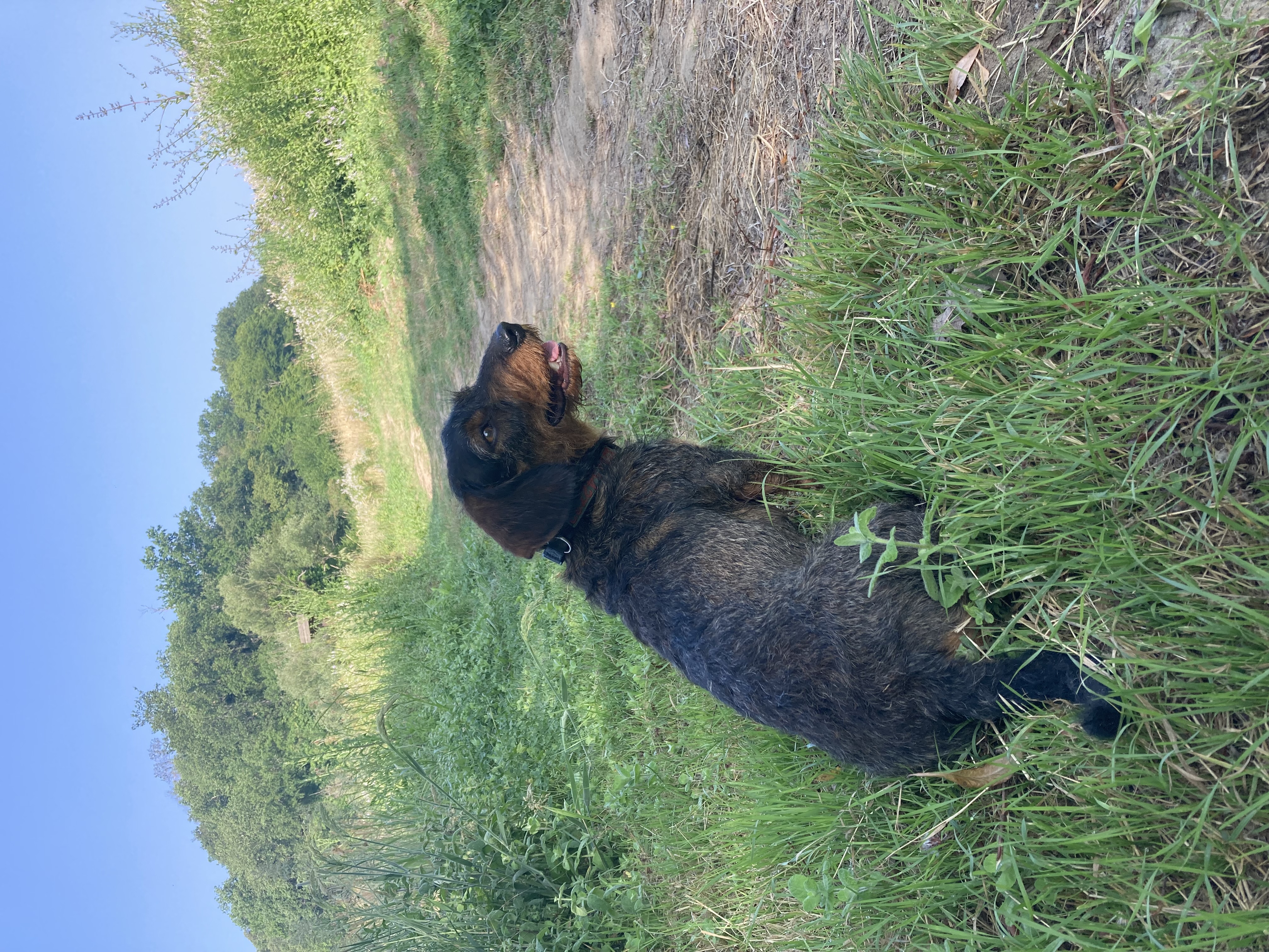 image-8