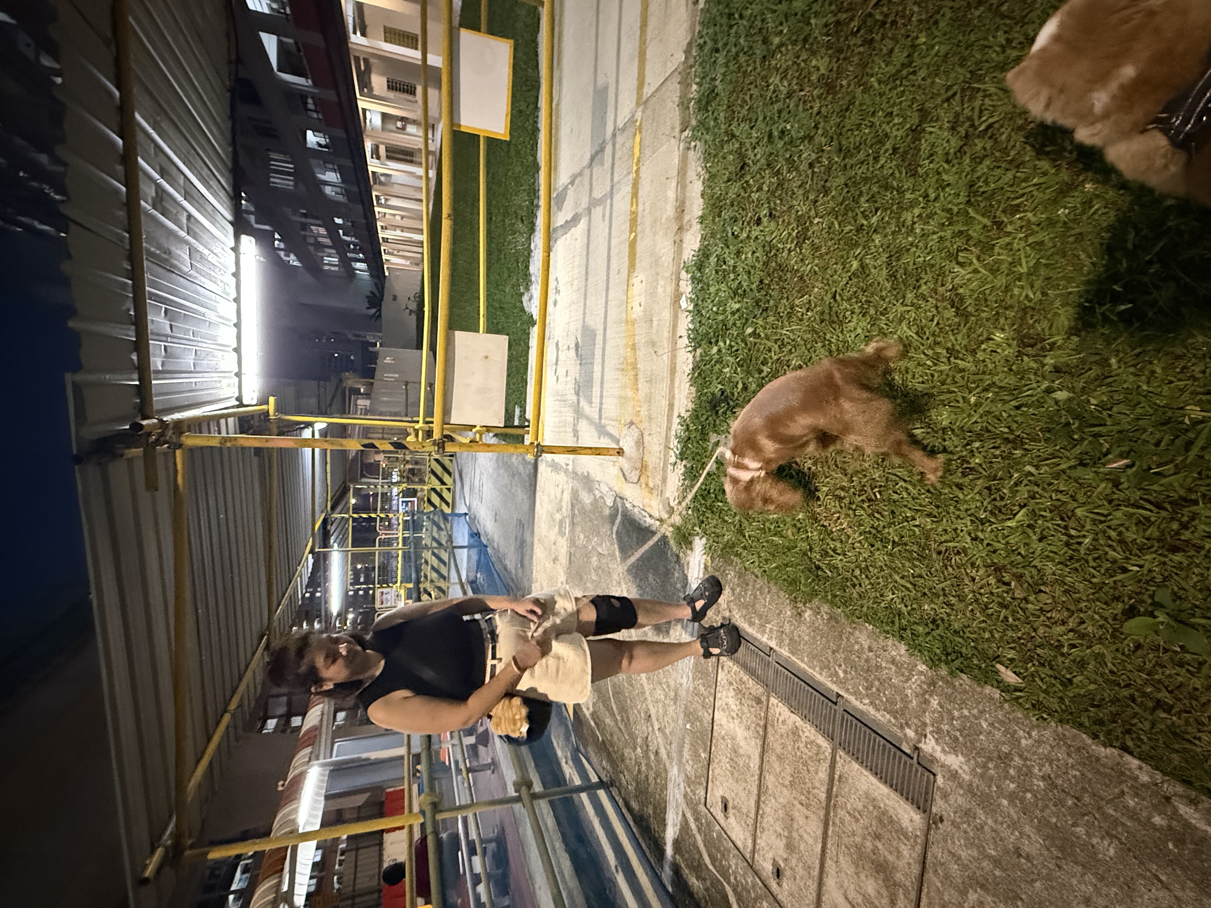 image-7
