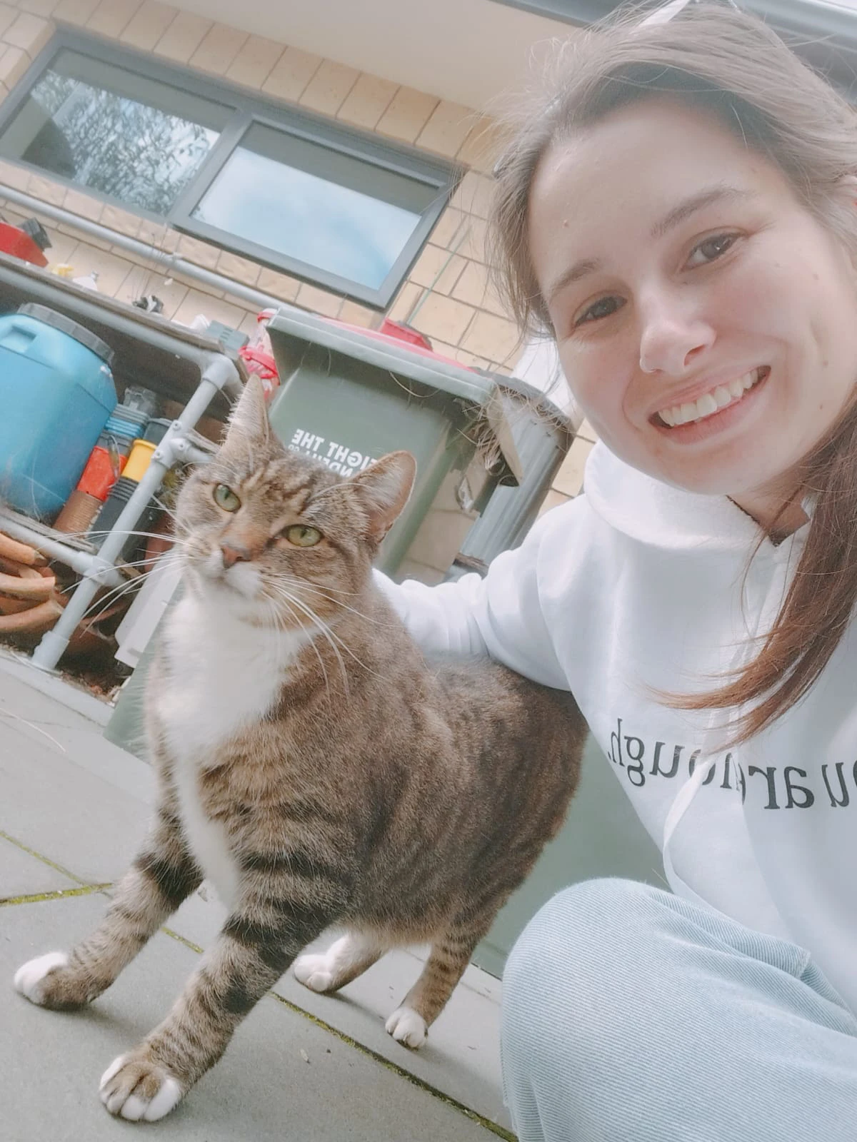 image-6