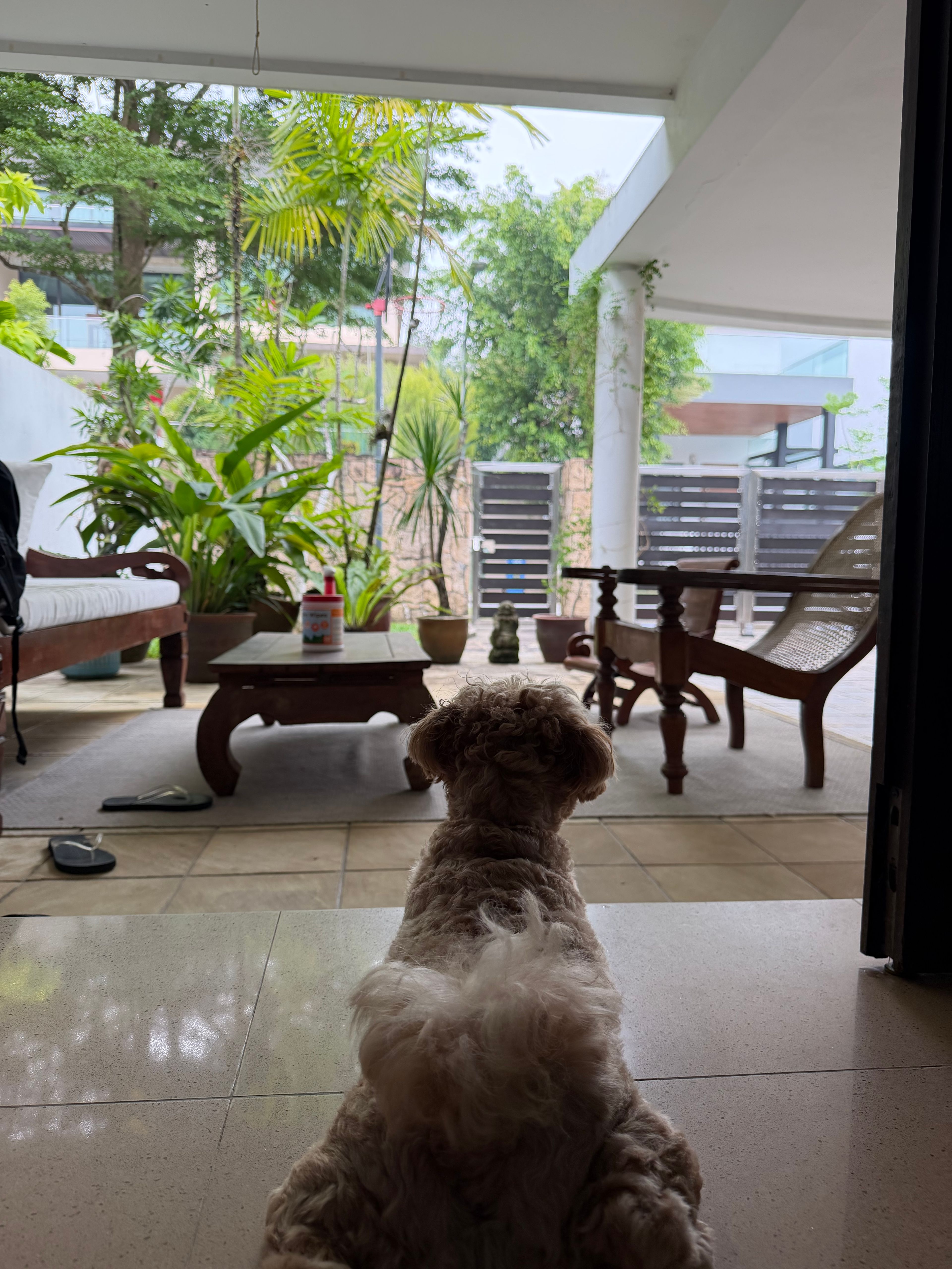 image-19