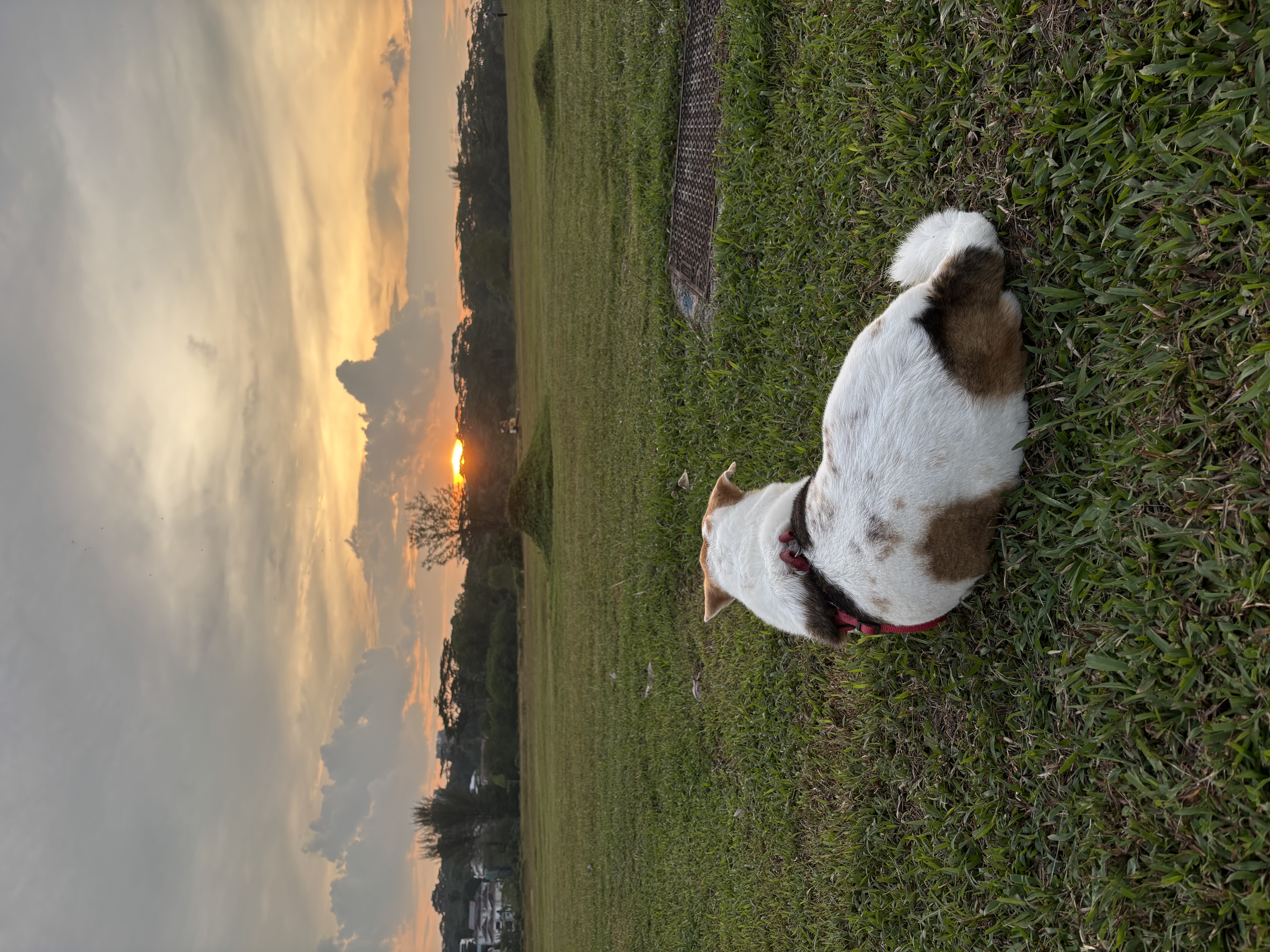 image-5