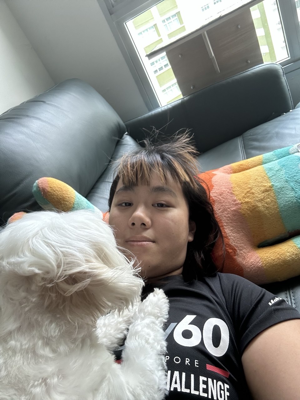 image-5
