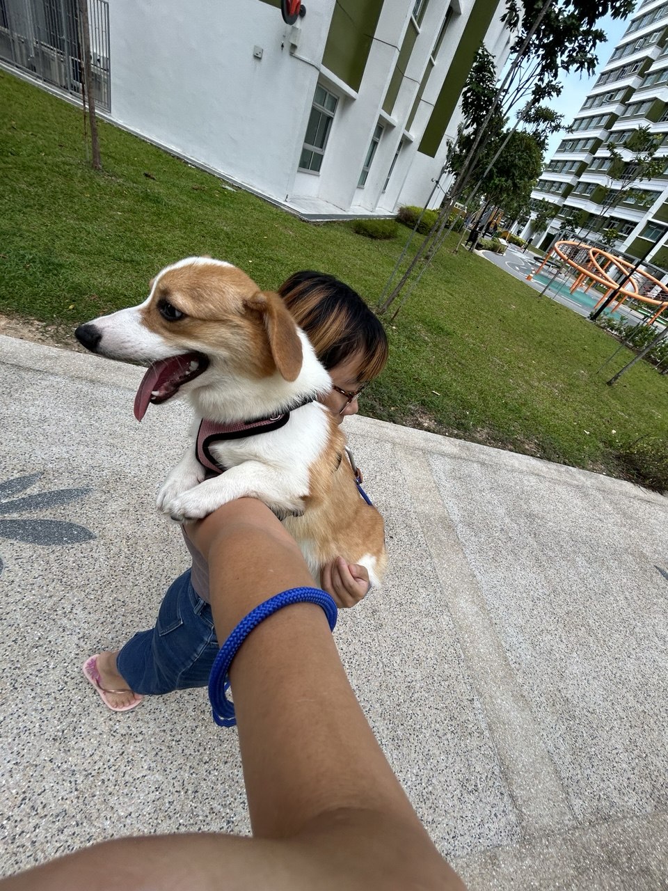 image-6
