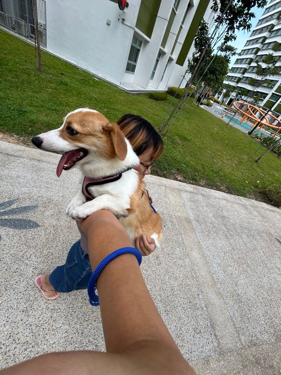 image-6