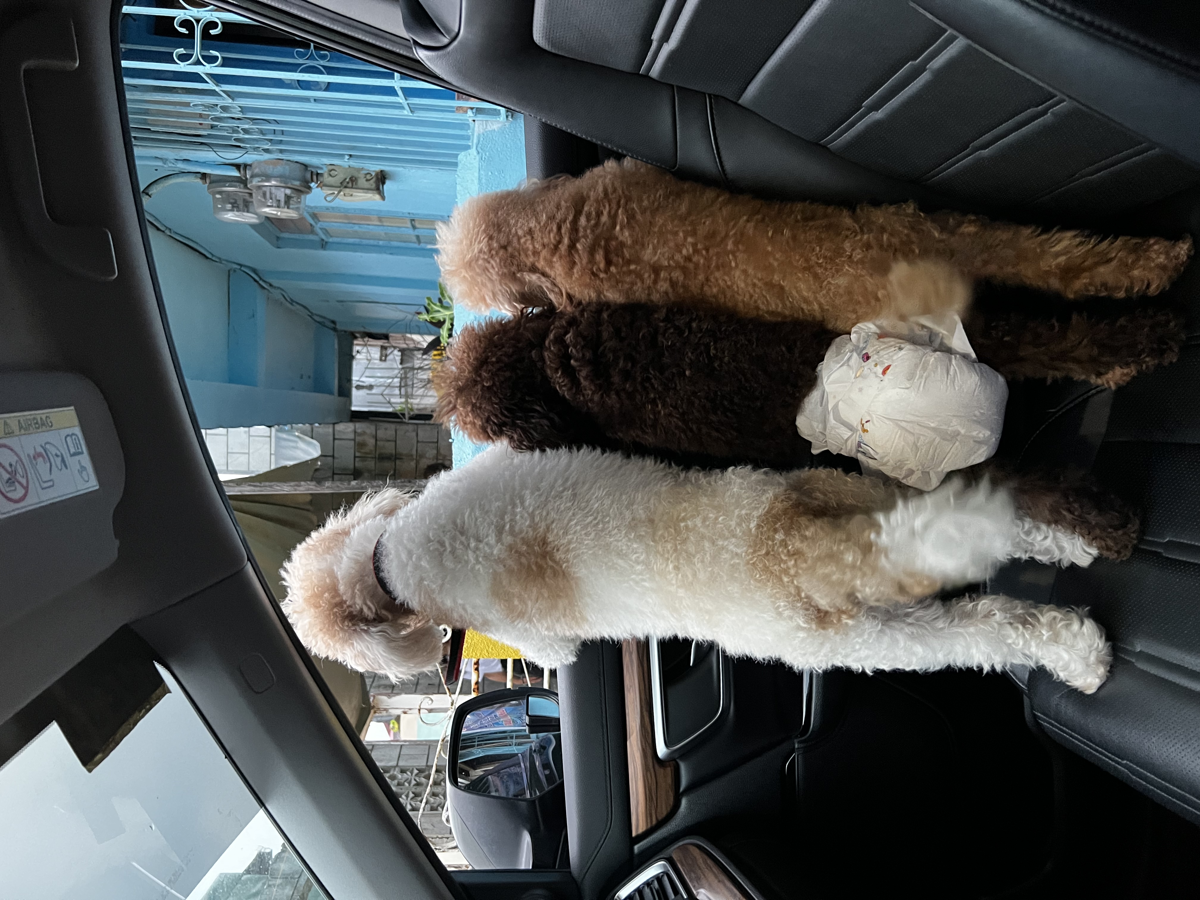 image-6