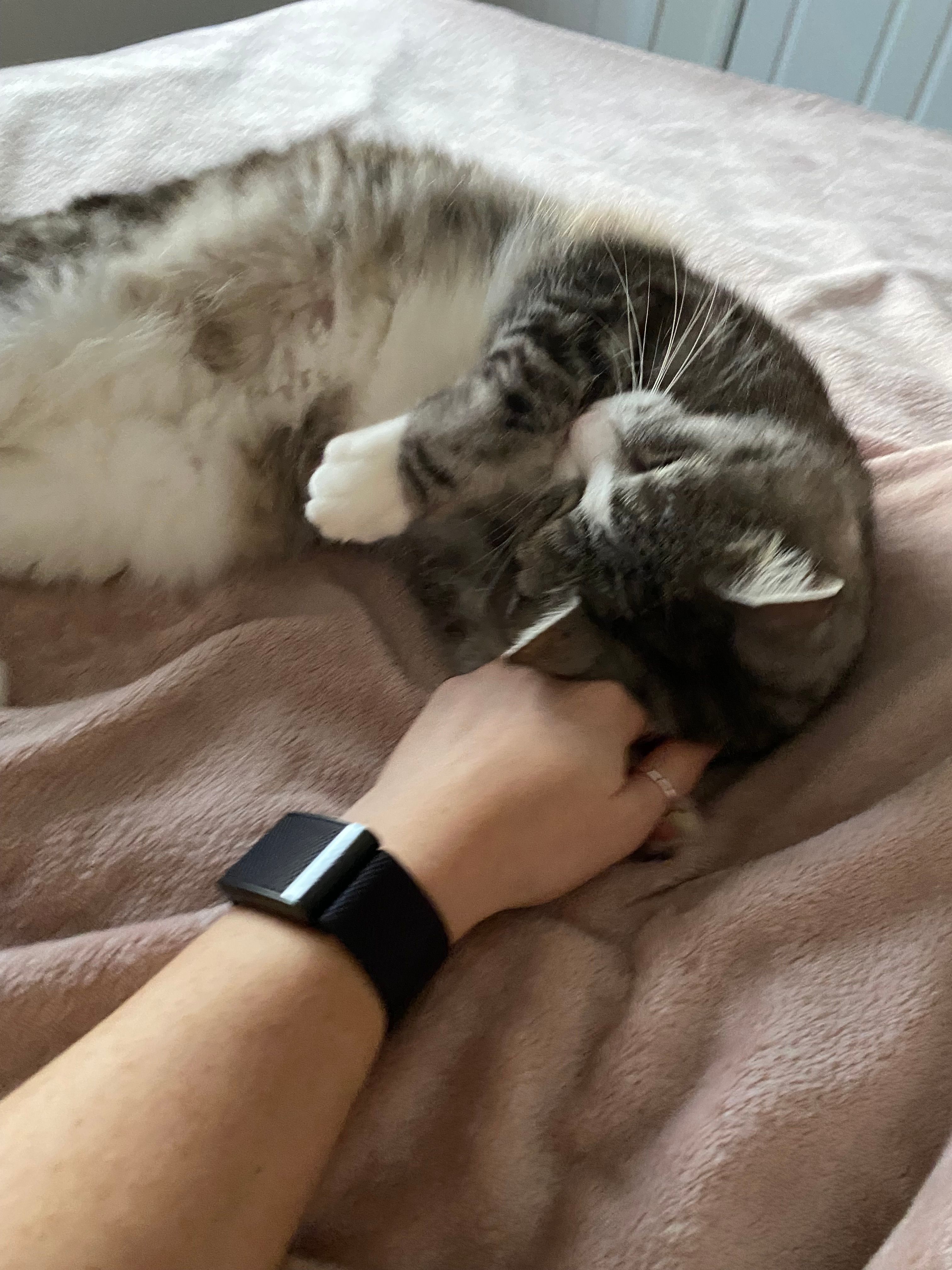image-6