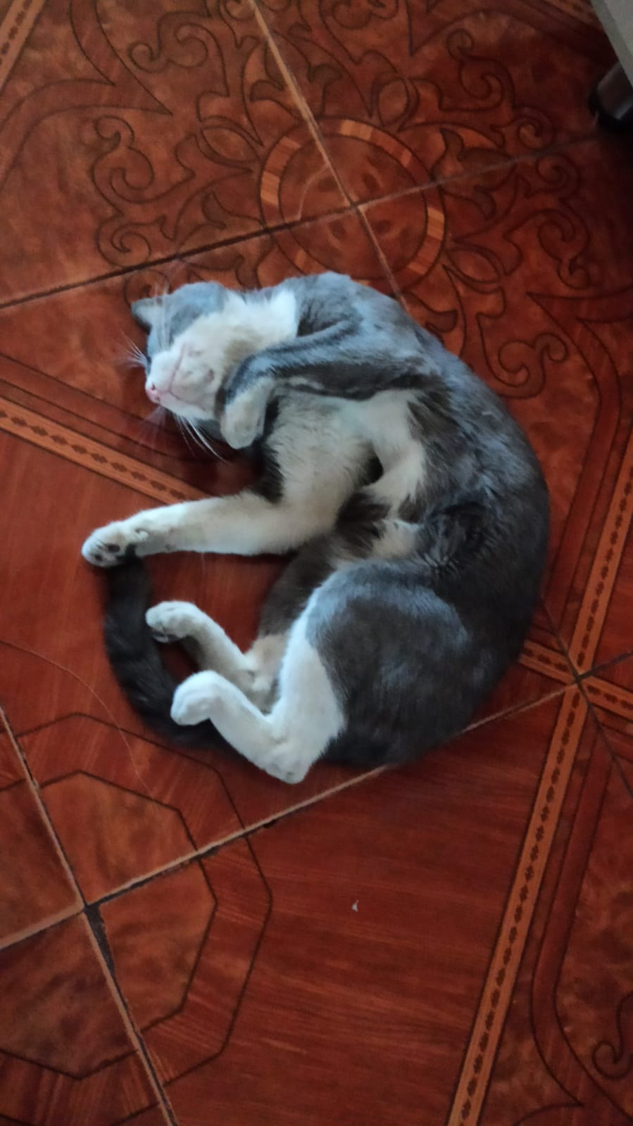 image-12