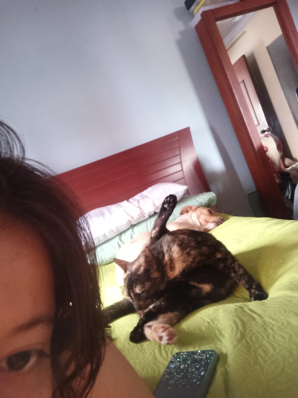 image-5