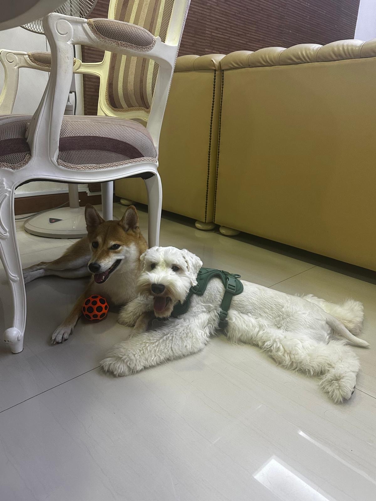 image-16
