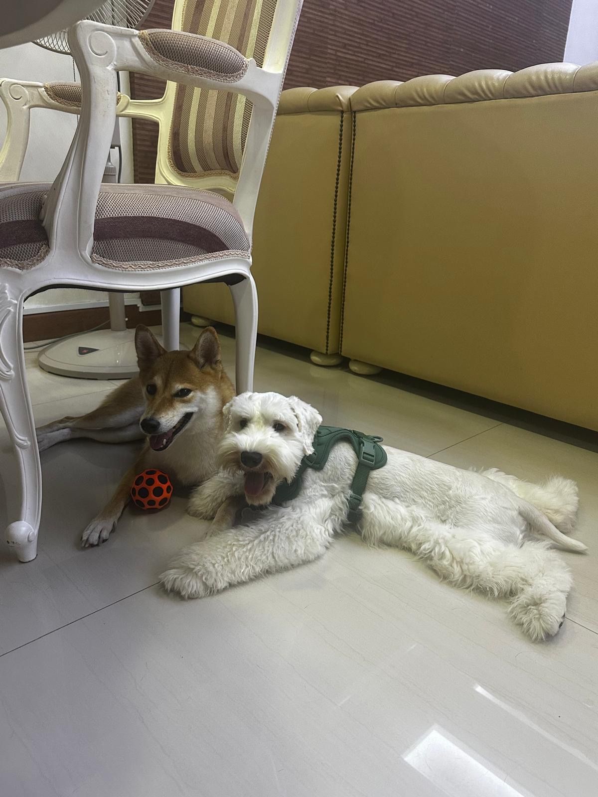 image-16