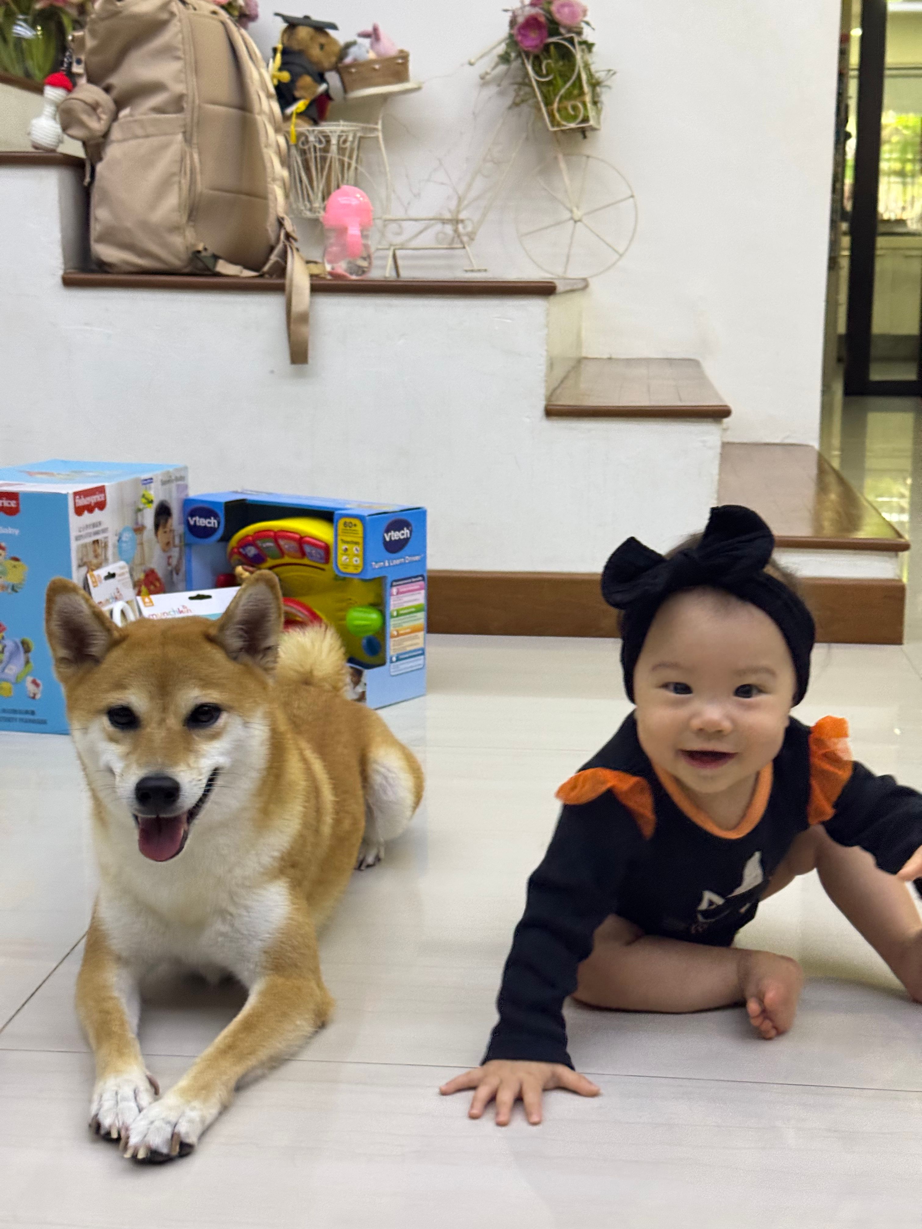 image-14