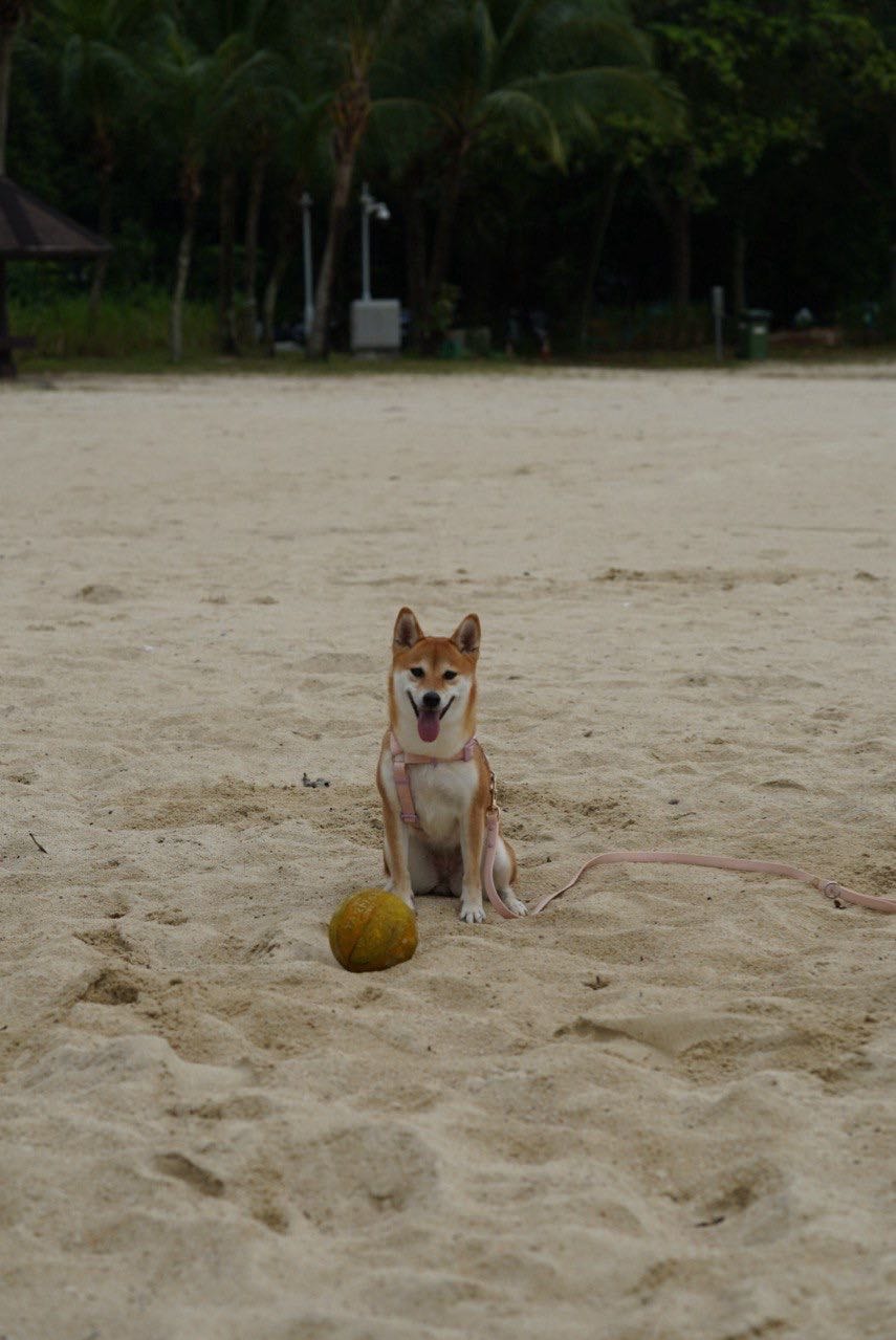 image-3