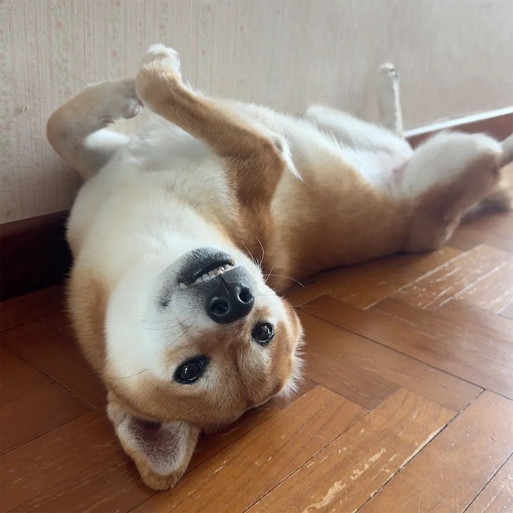 image-20