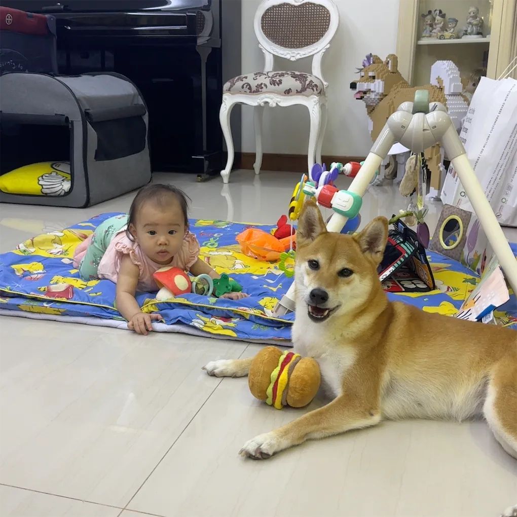 image-18