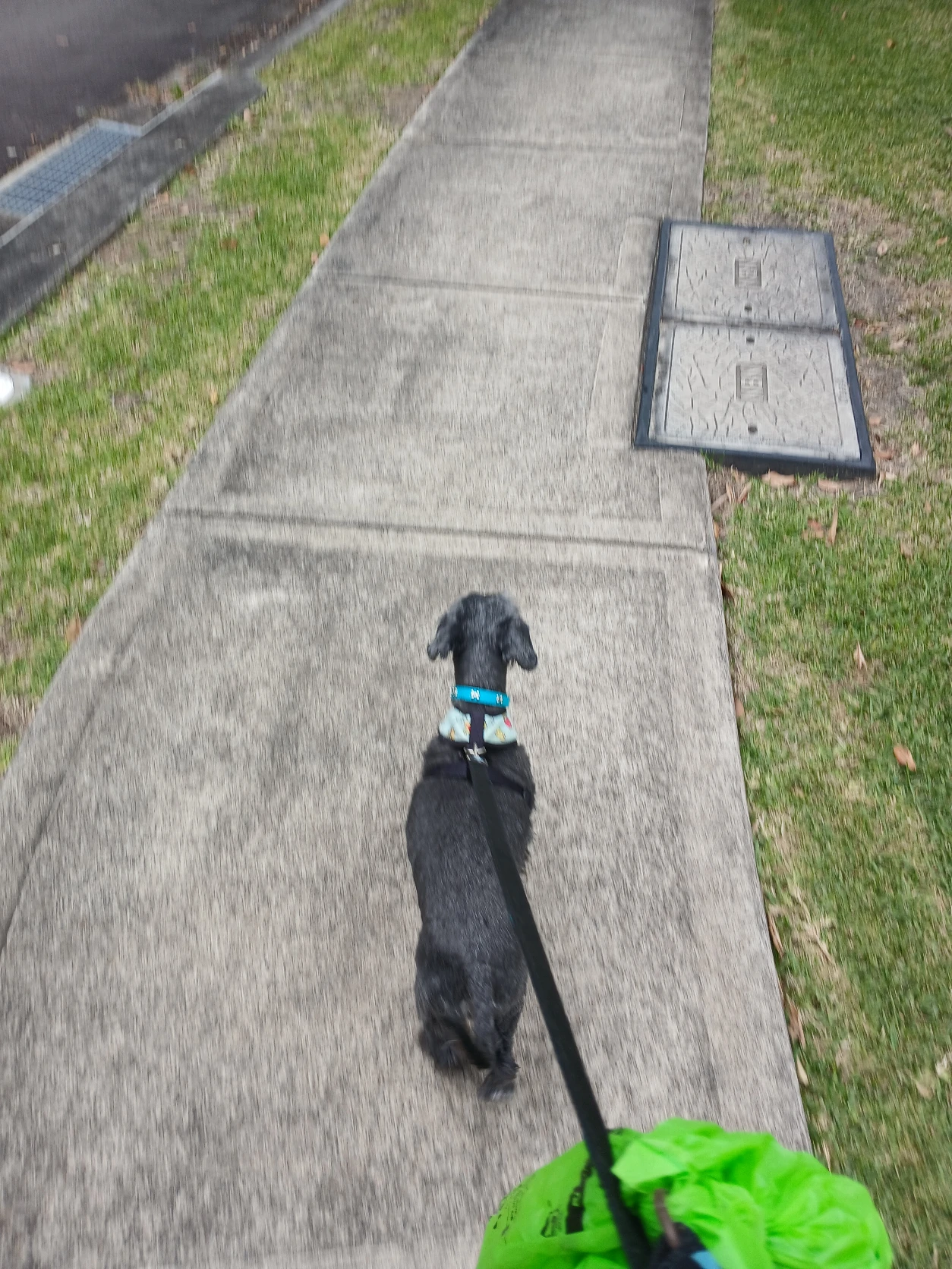 image-13