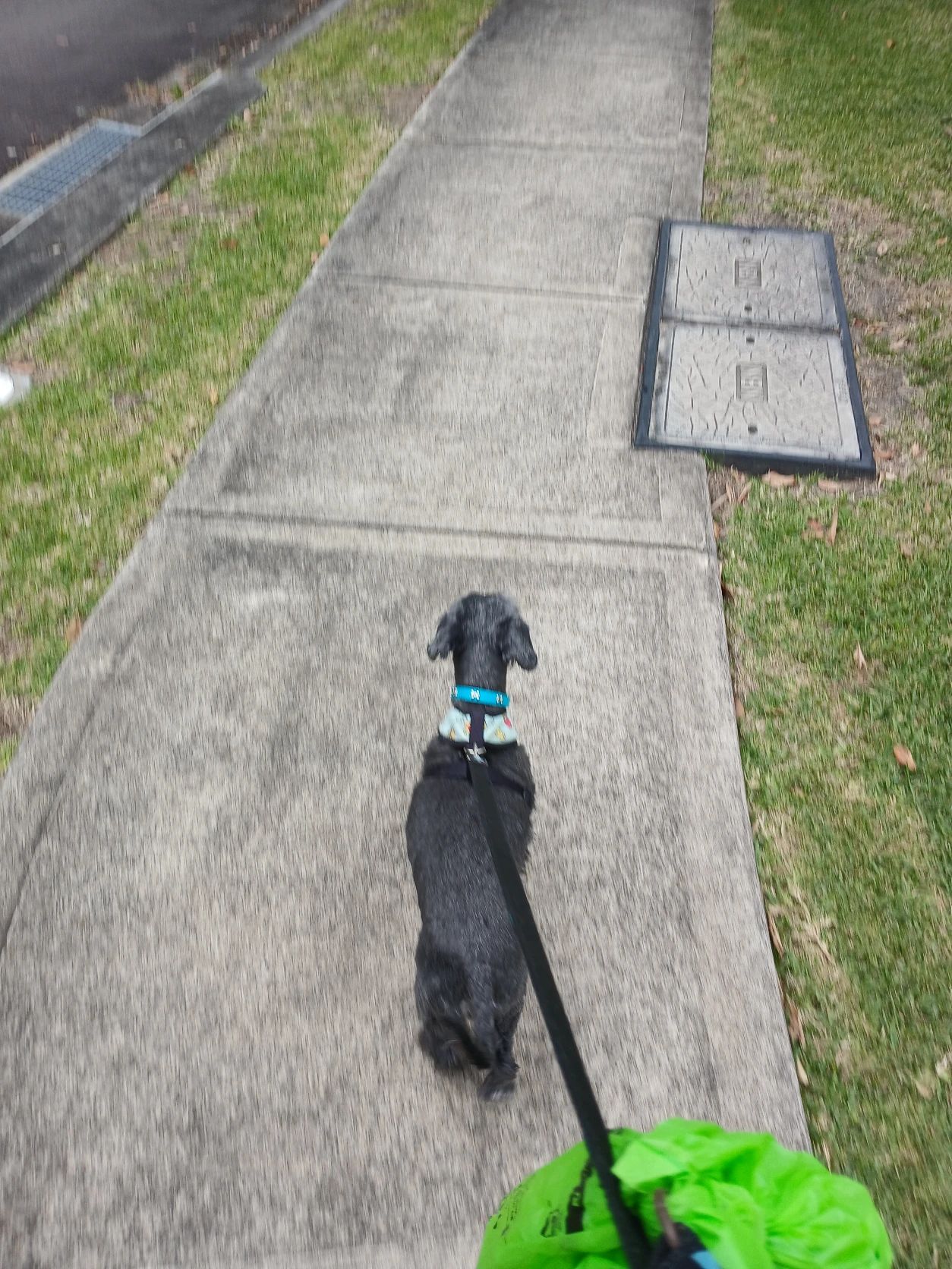 image-13
