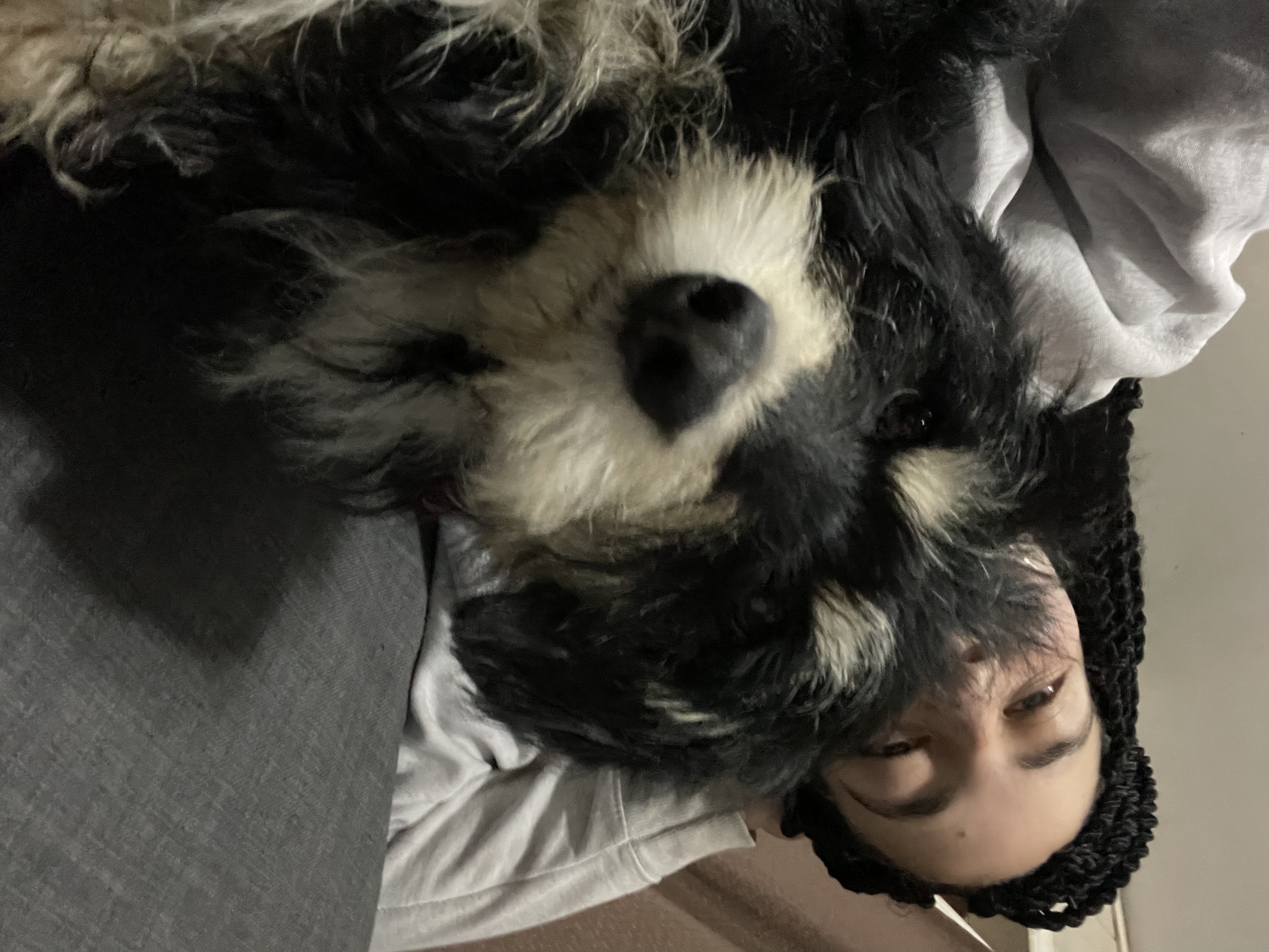 image-9