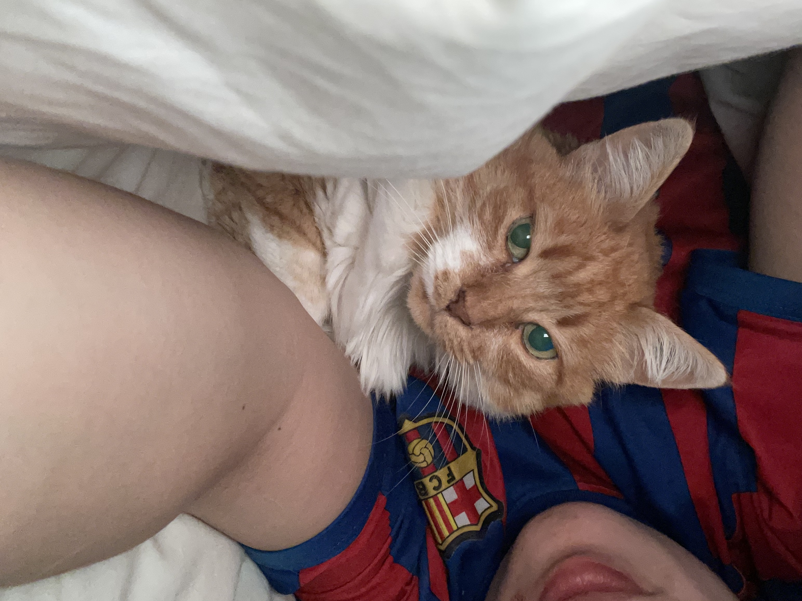 image-8