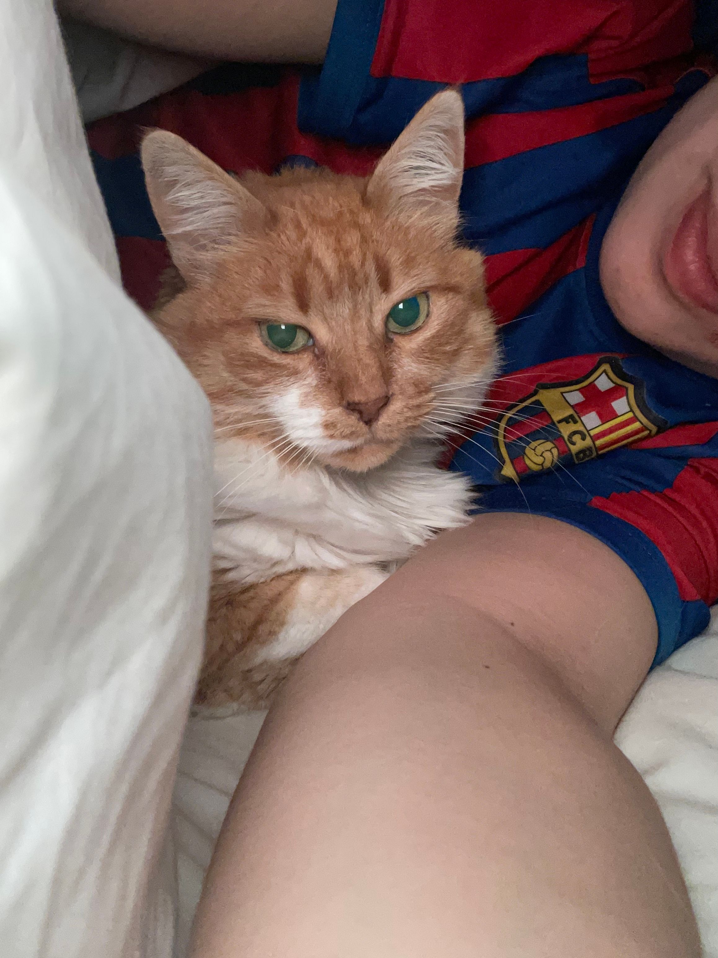 image-8