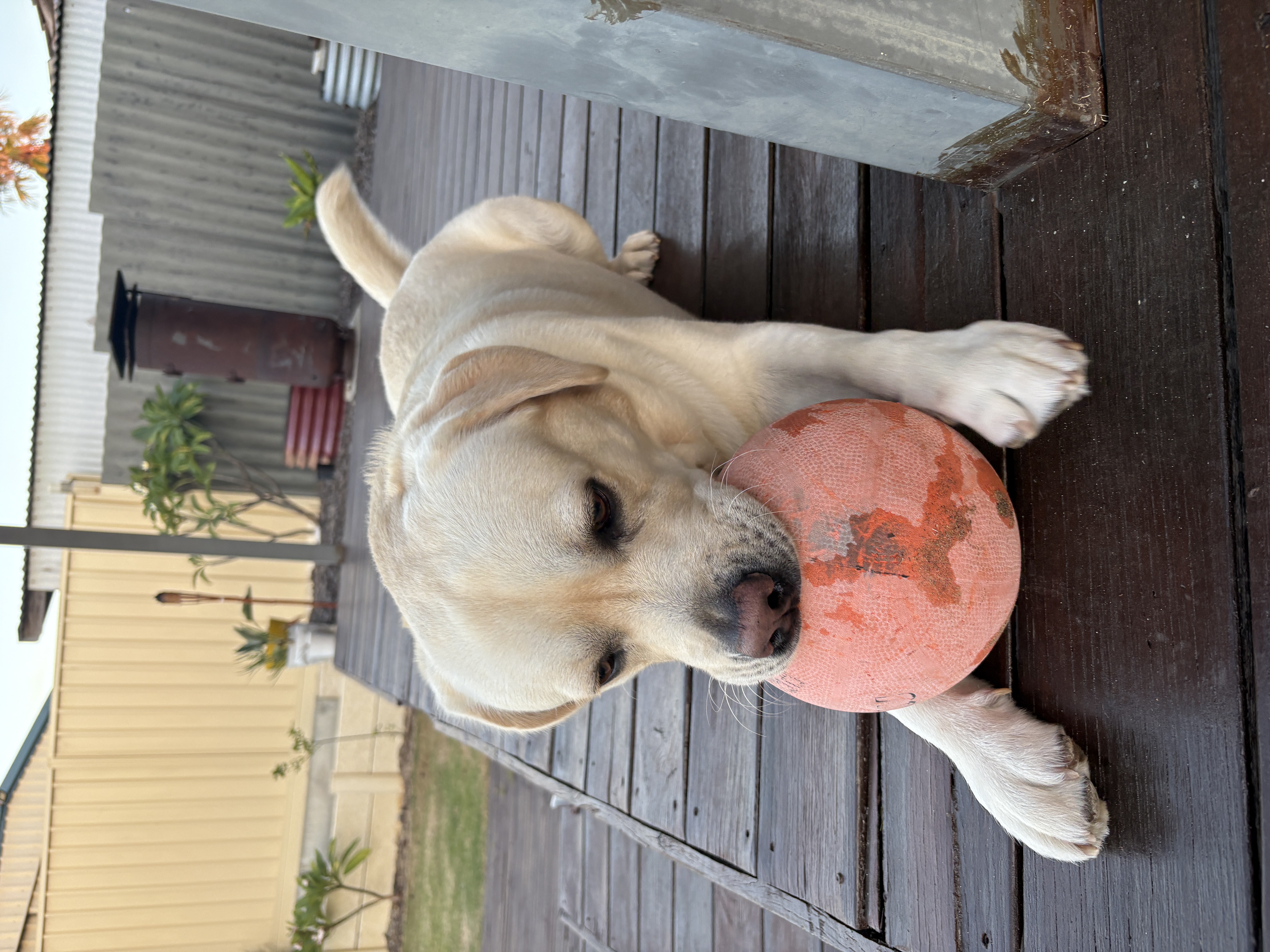 image-6