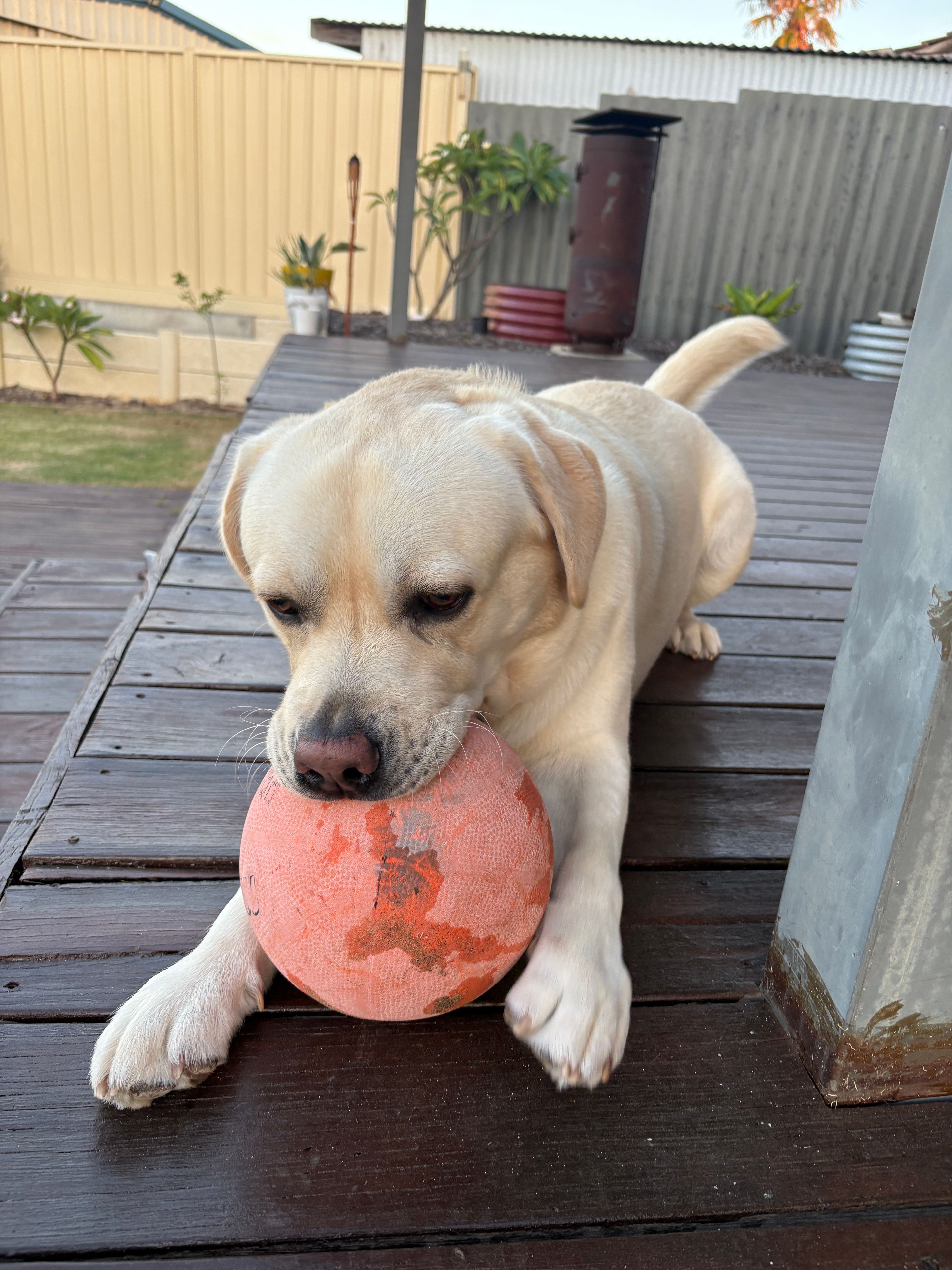 image-6