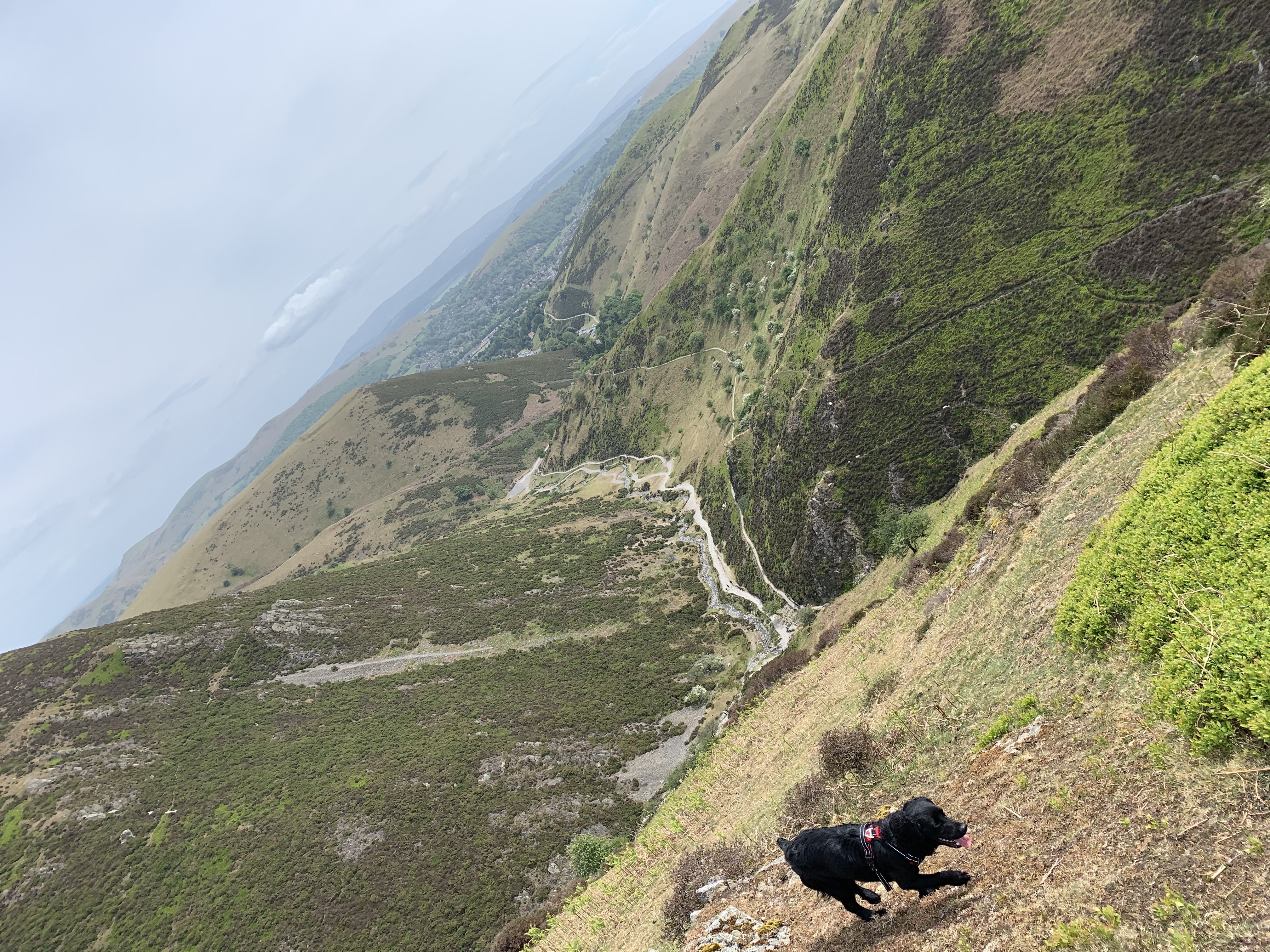 image-9