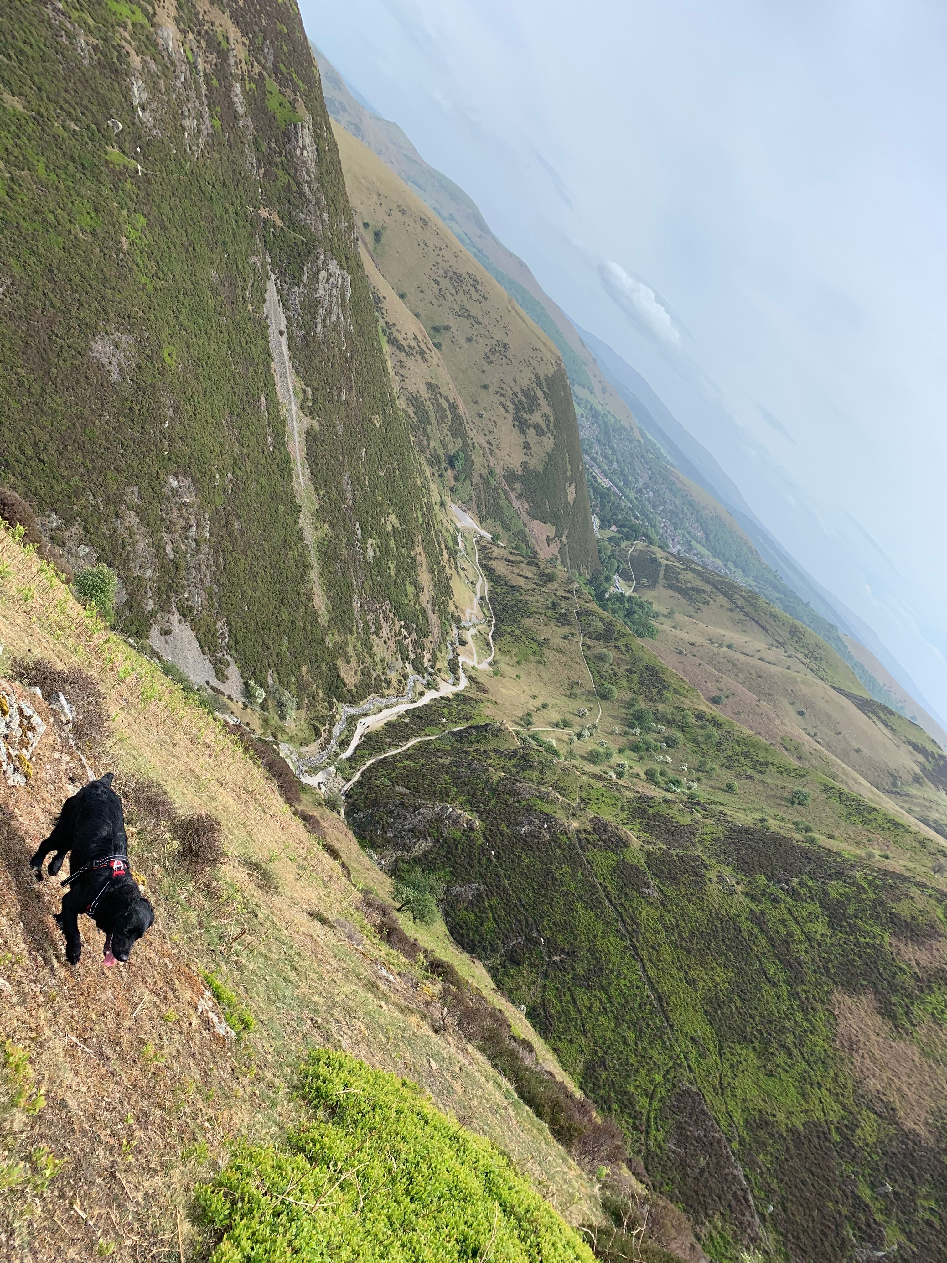 image-9