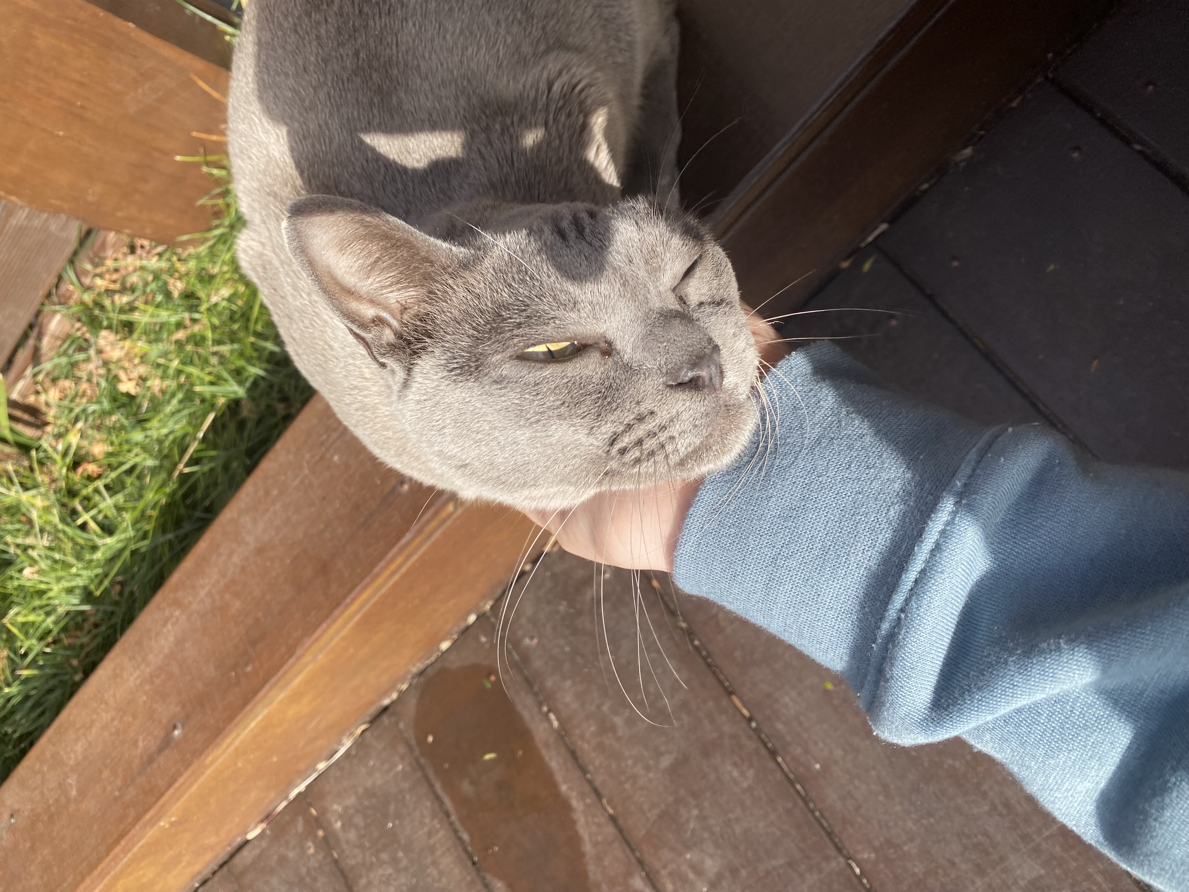 image-7