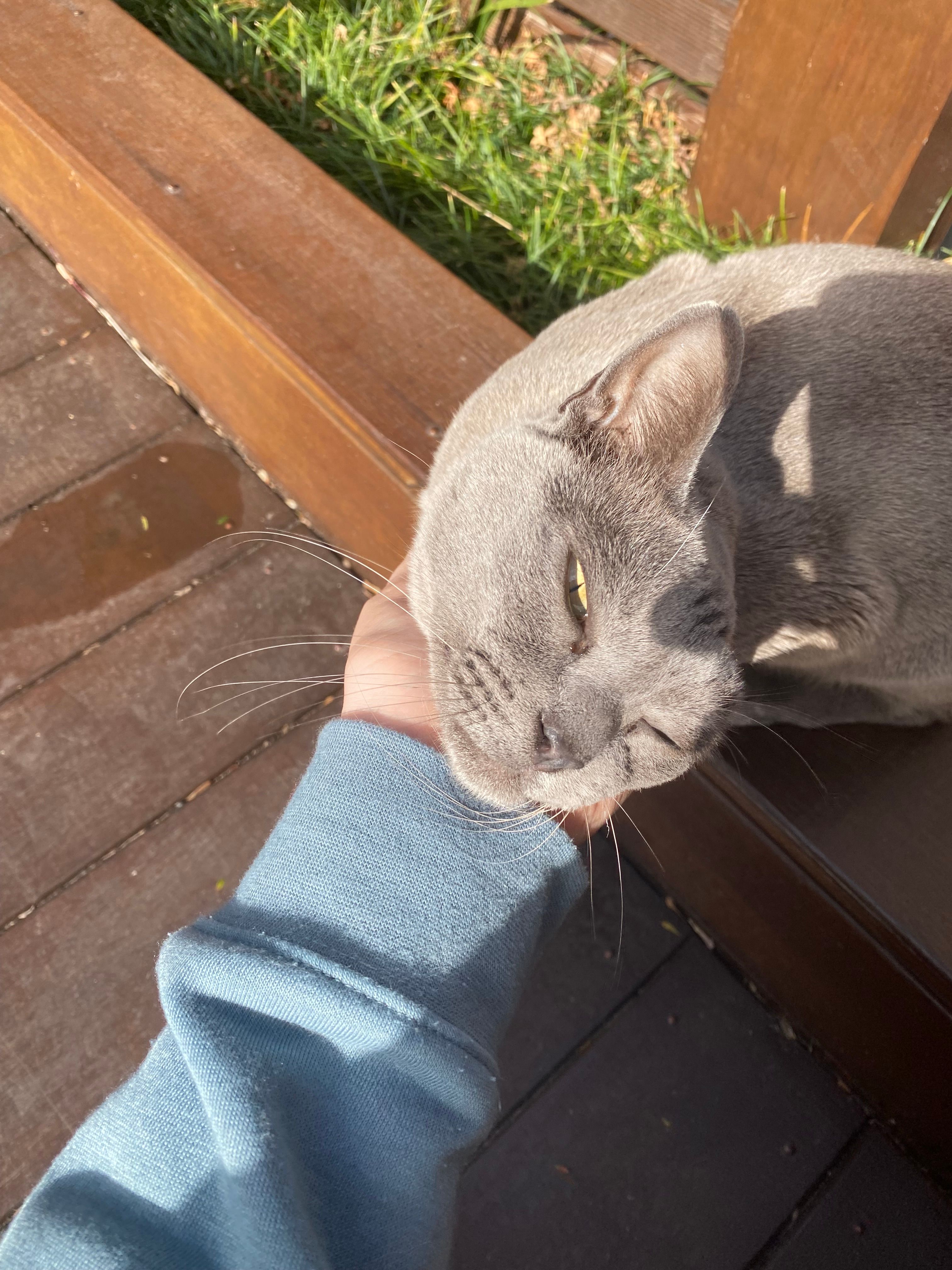 image-7