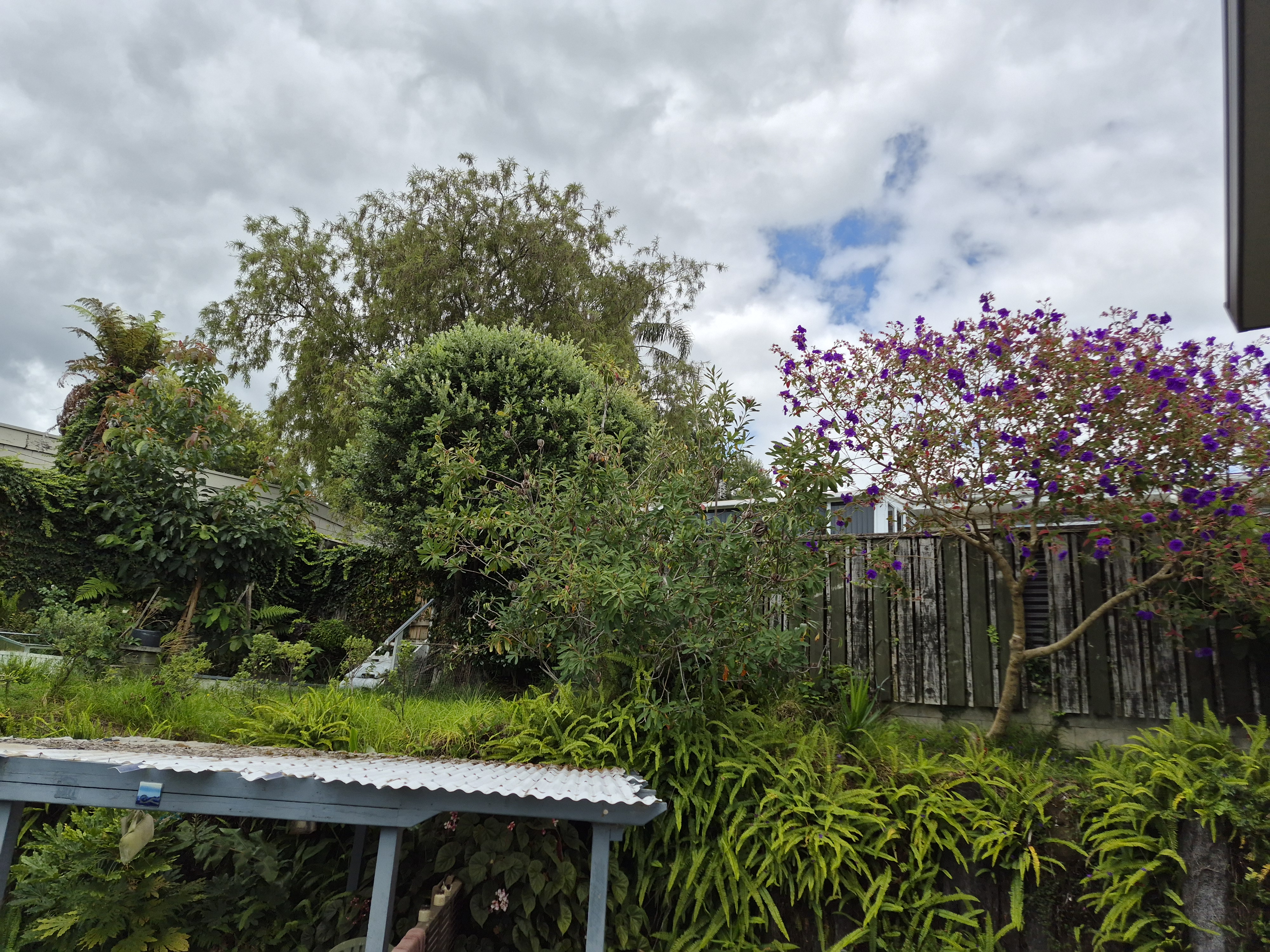 image-16